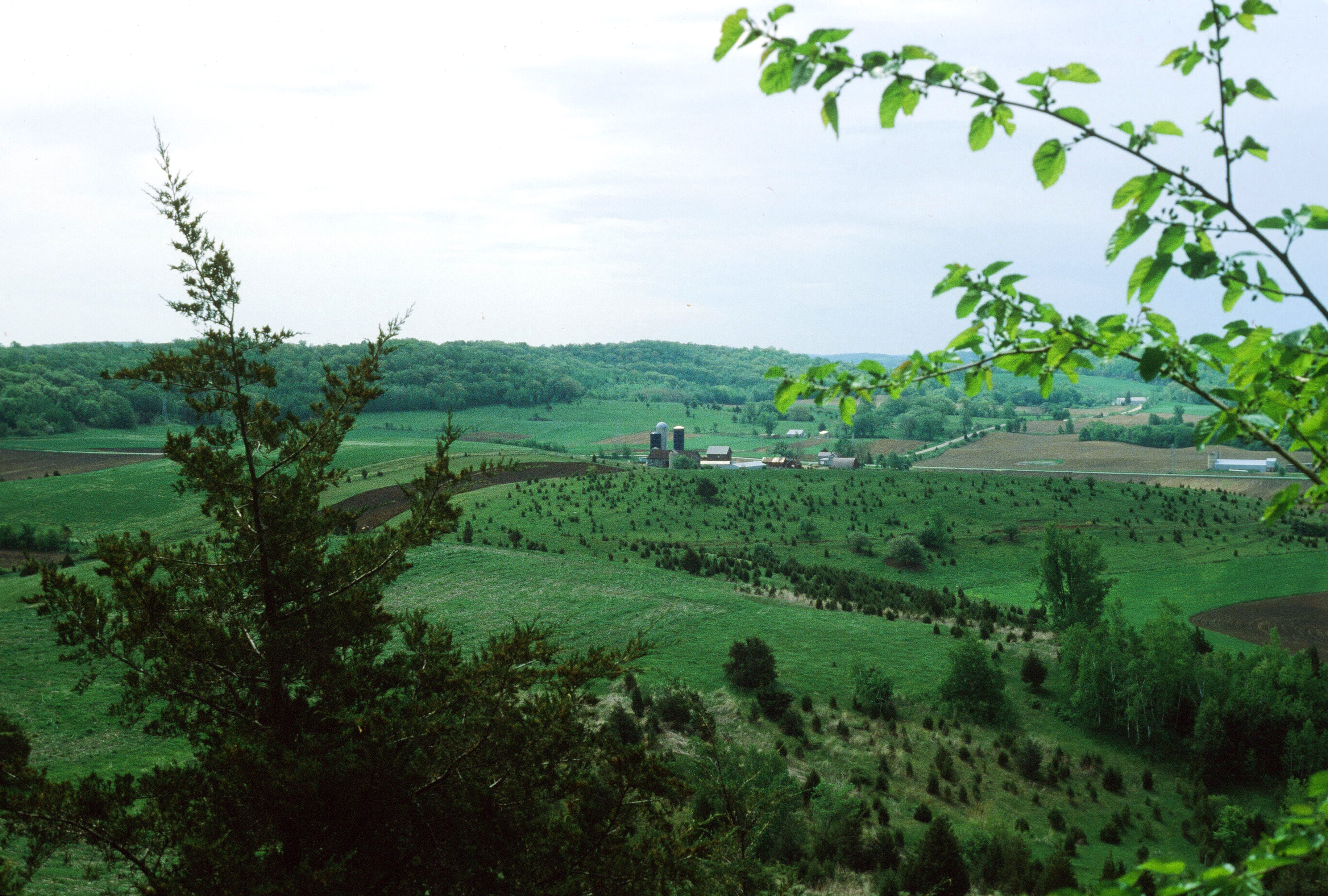 00496 s 15amyghxq60496