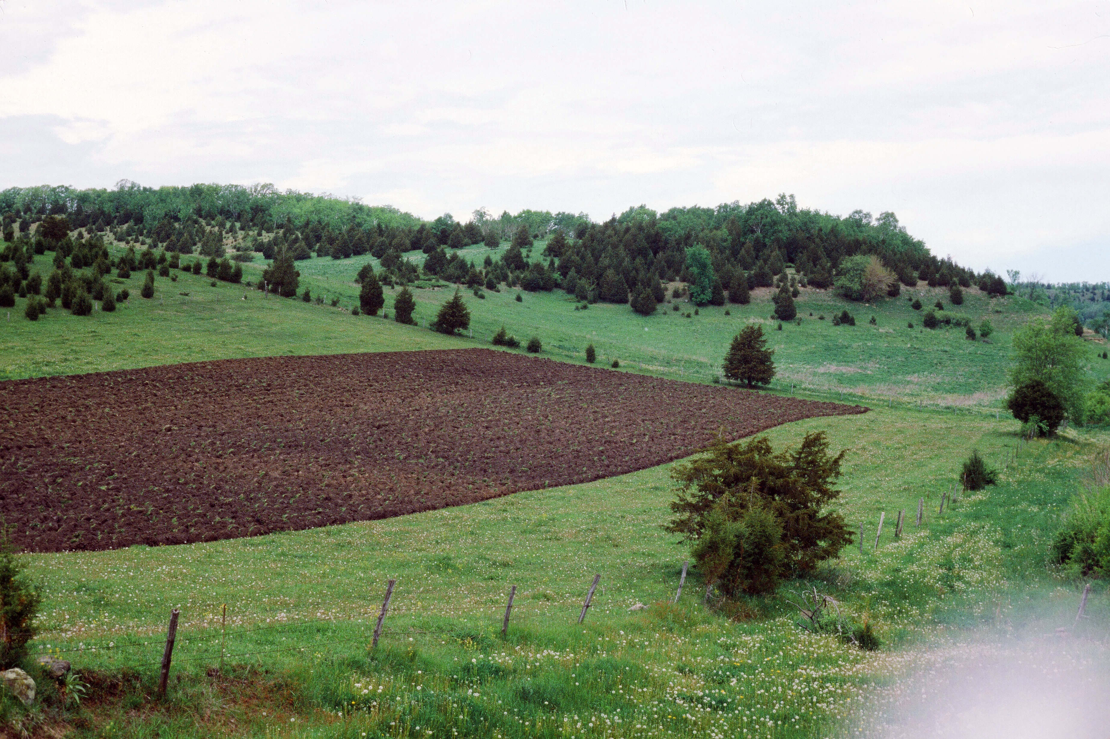 00497 s 15amyghxq60497 r