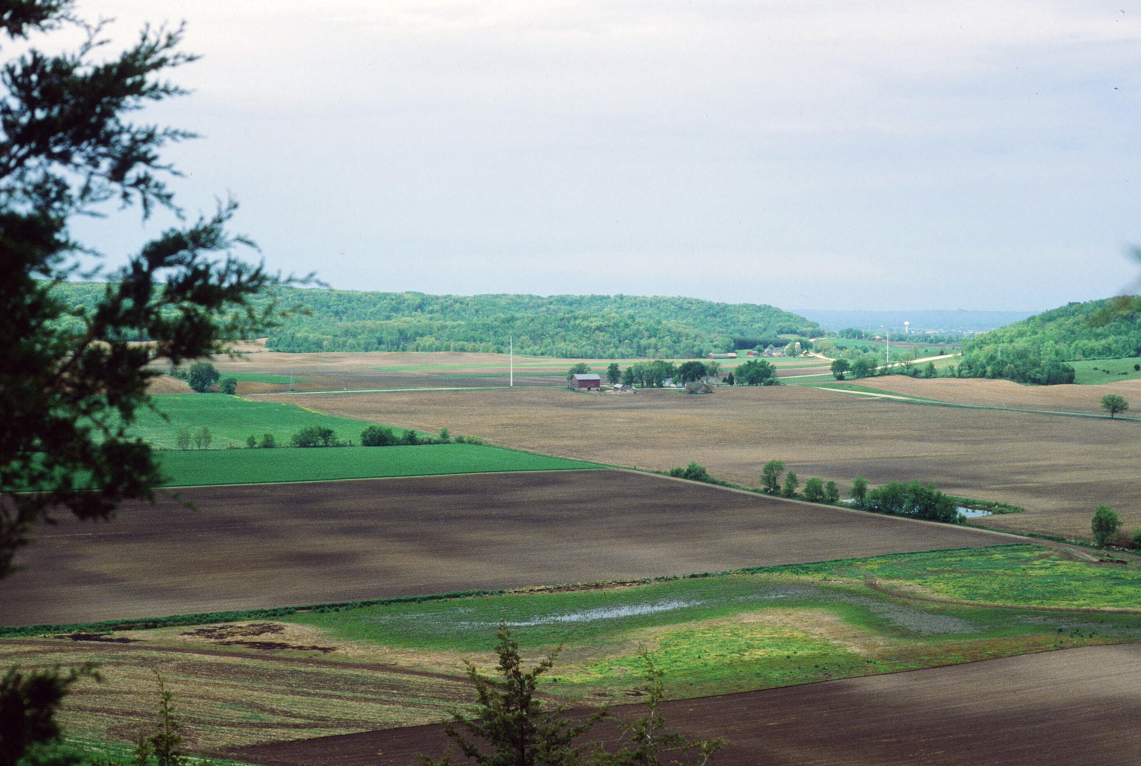 00498 s 15amyghxq60498