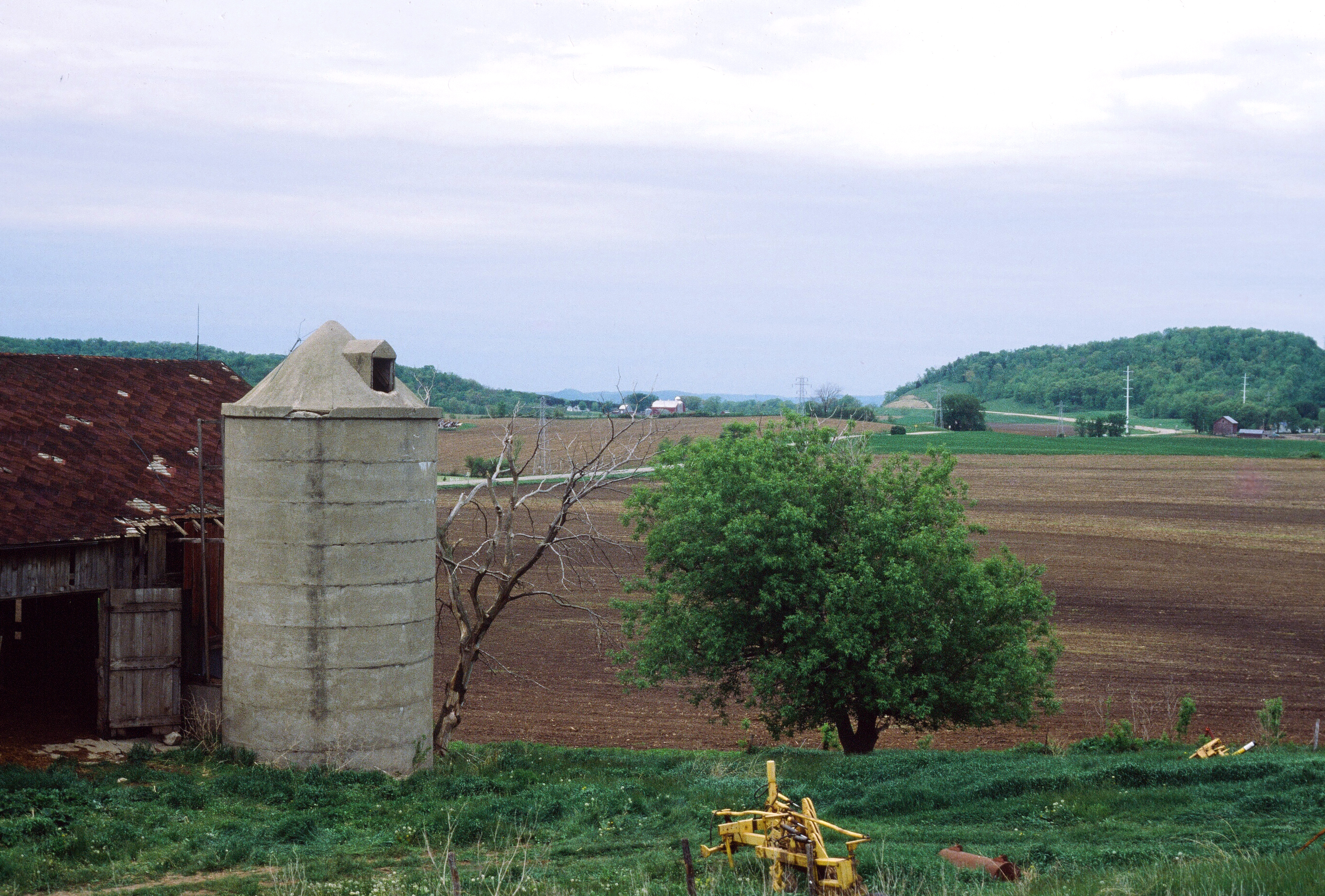 00499 s 15amyghxq60499