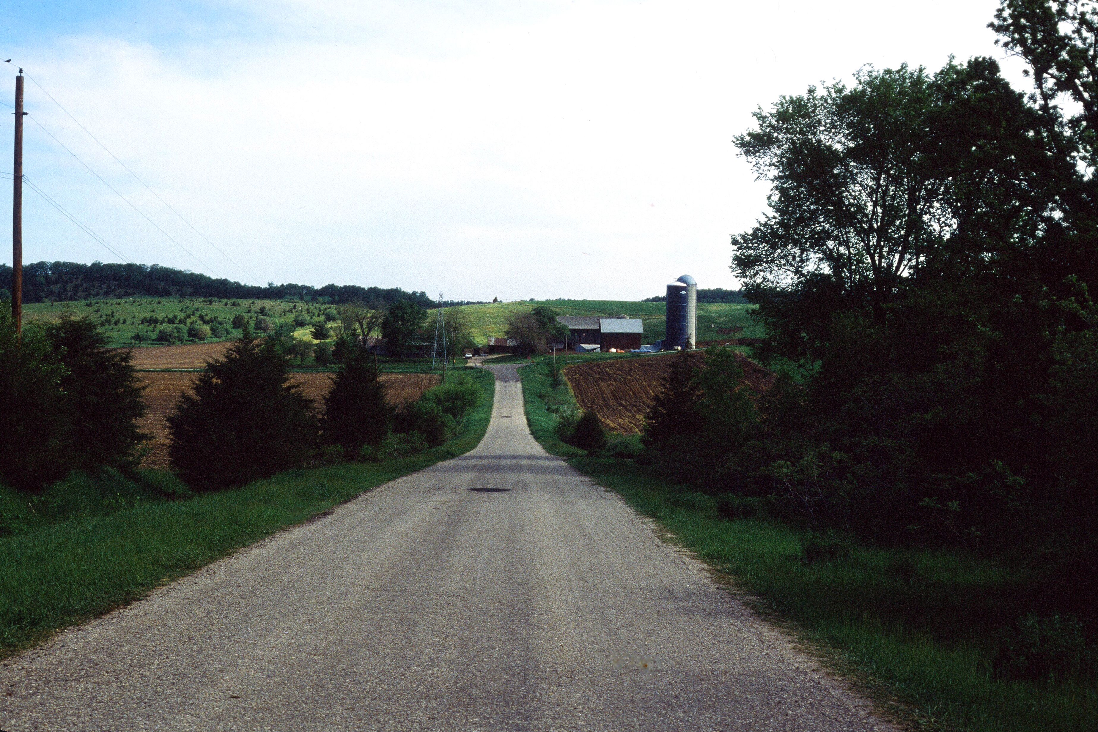 00501 s 15amyghxq60501