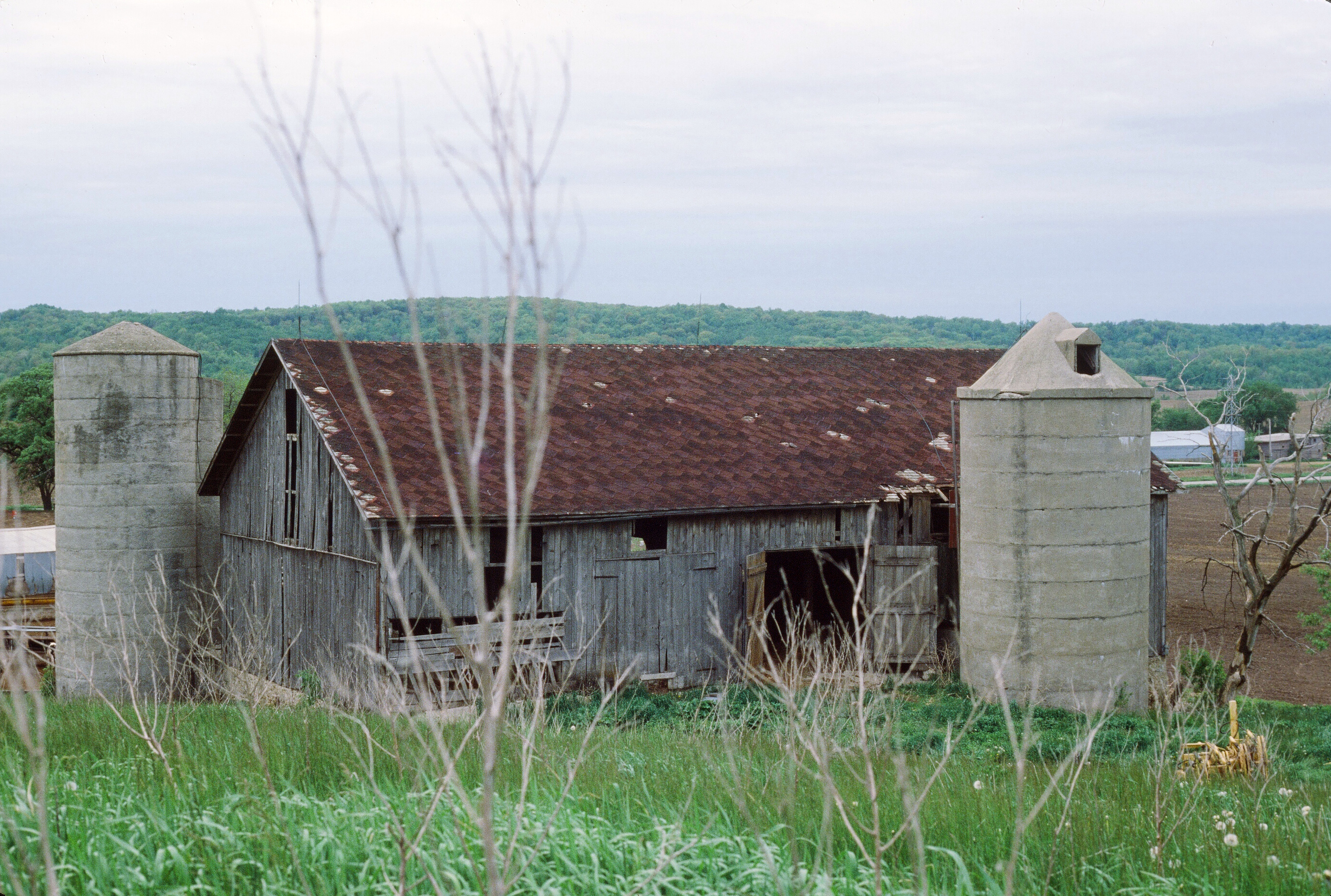 00504 s 15amyghxq60504