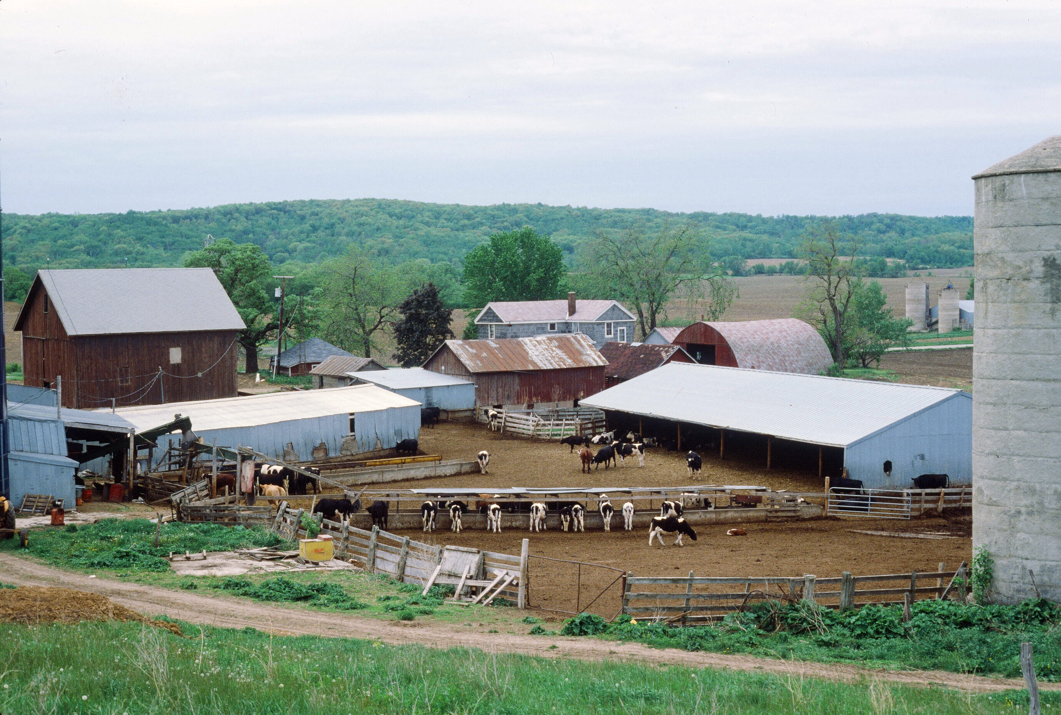 00505 s 15amyghxq60505