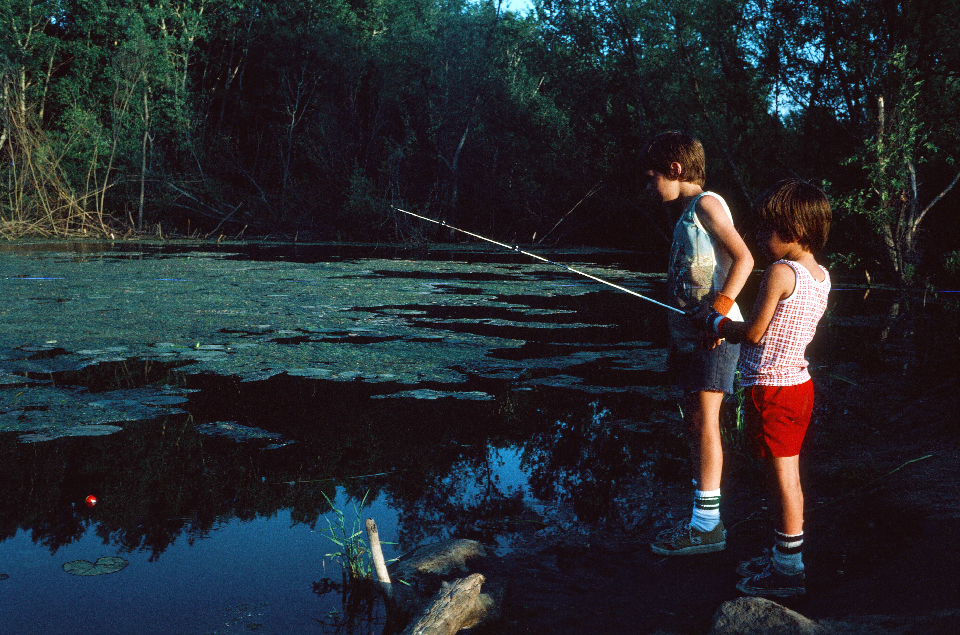 00761 s 15amyghxq60761