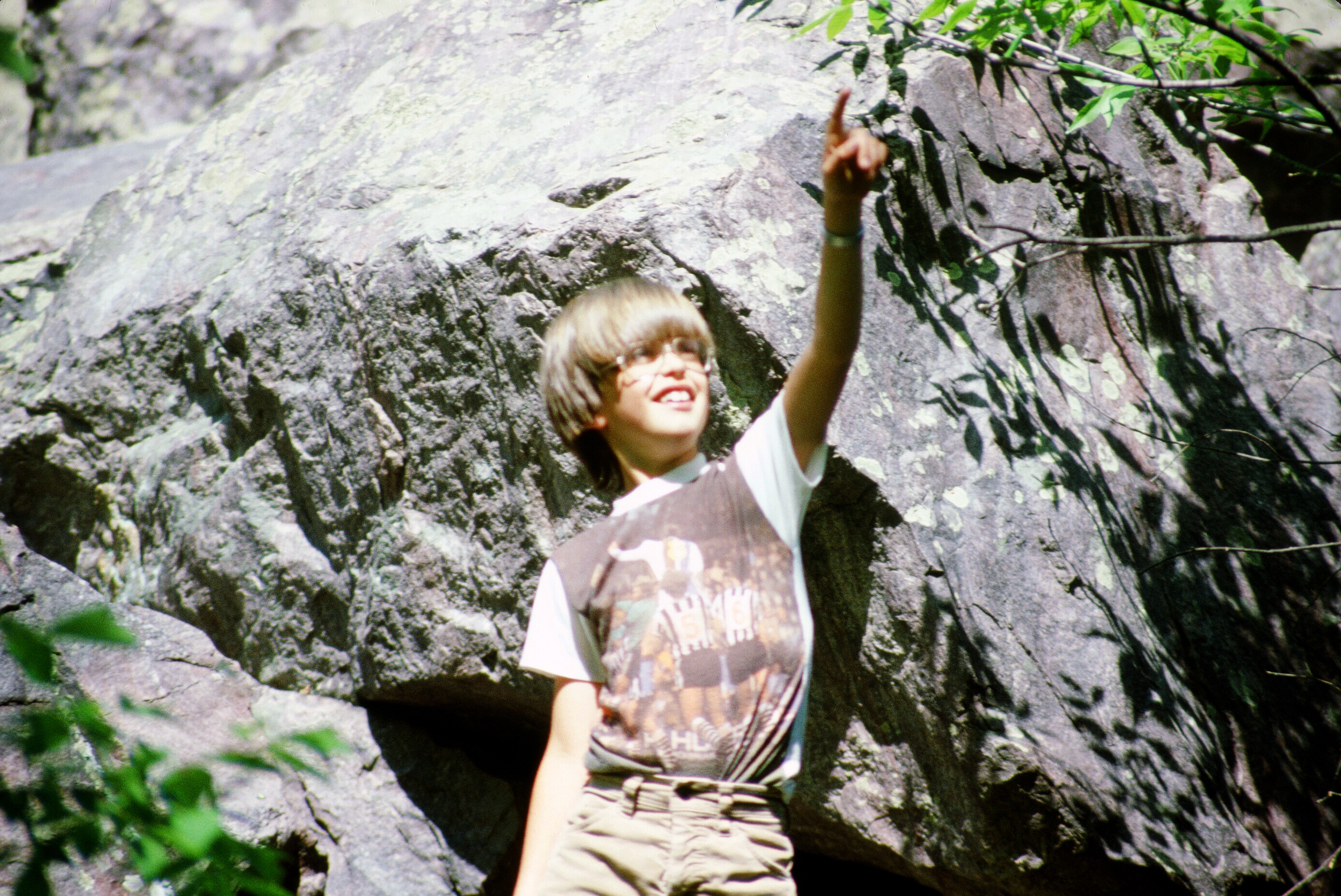 00795 s 15amyghxq60795