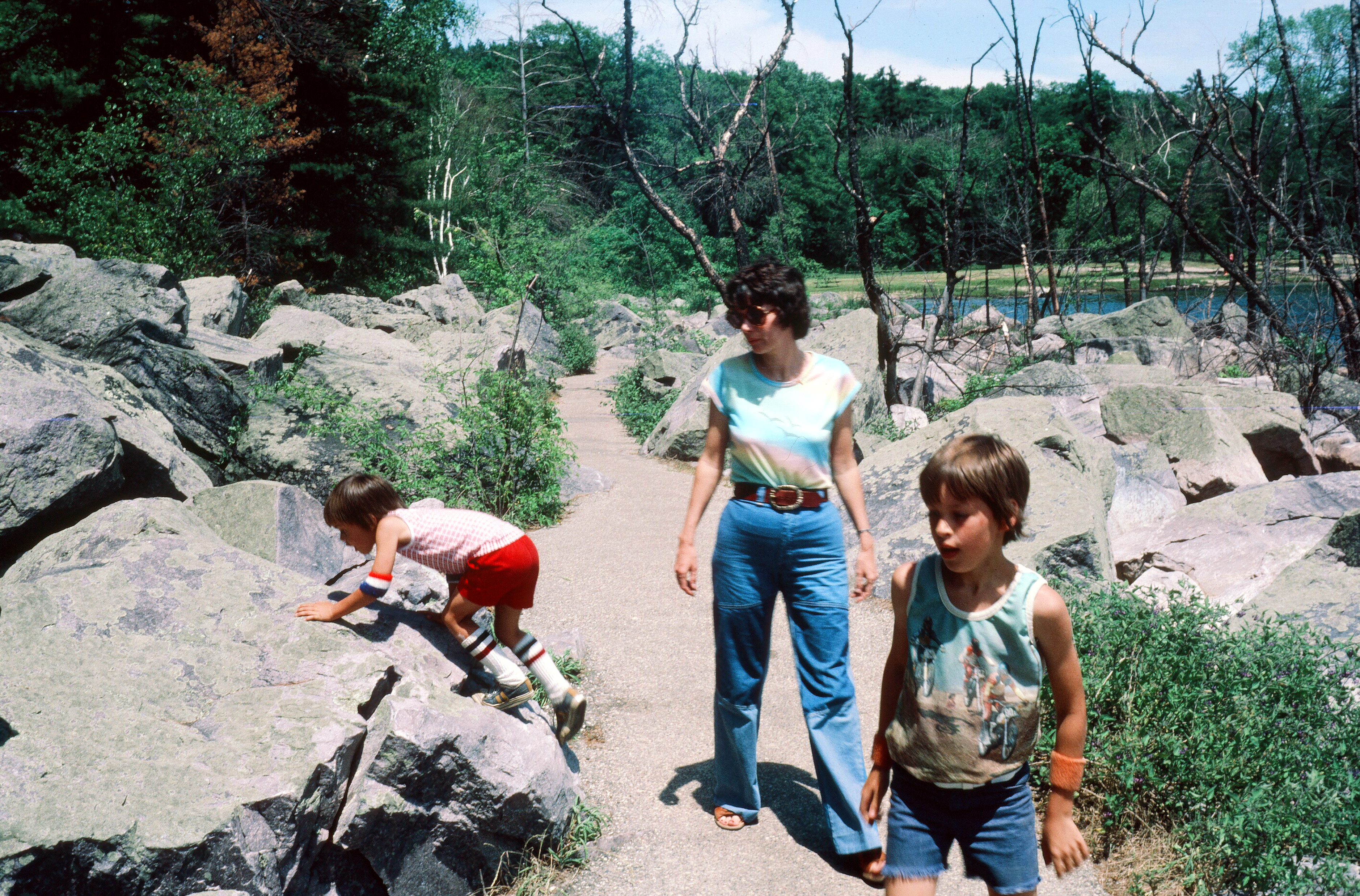 00798 s 15amyghxq60798