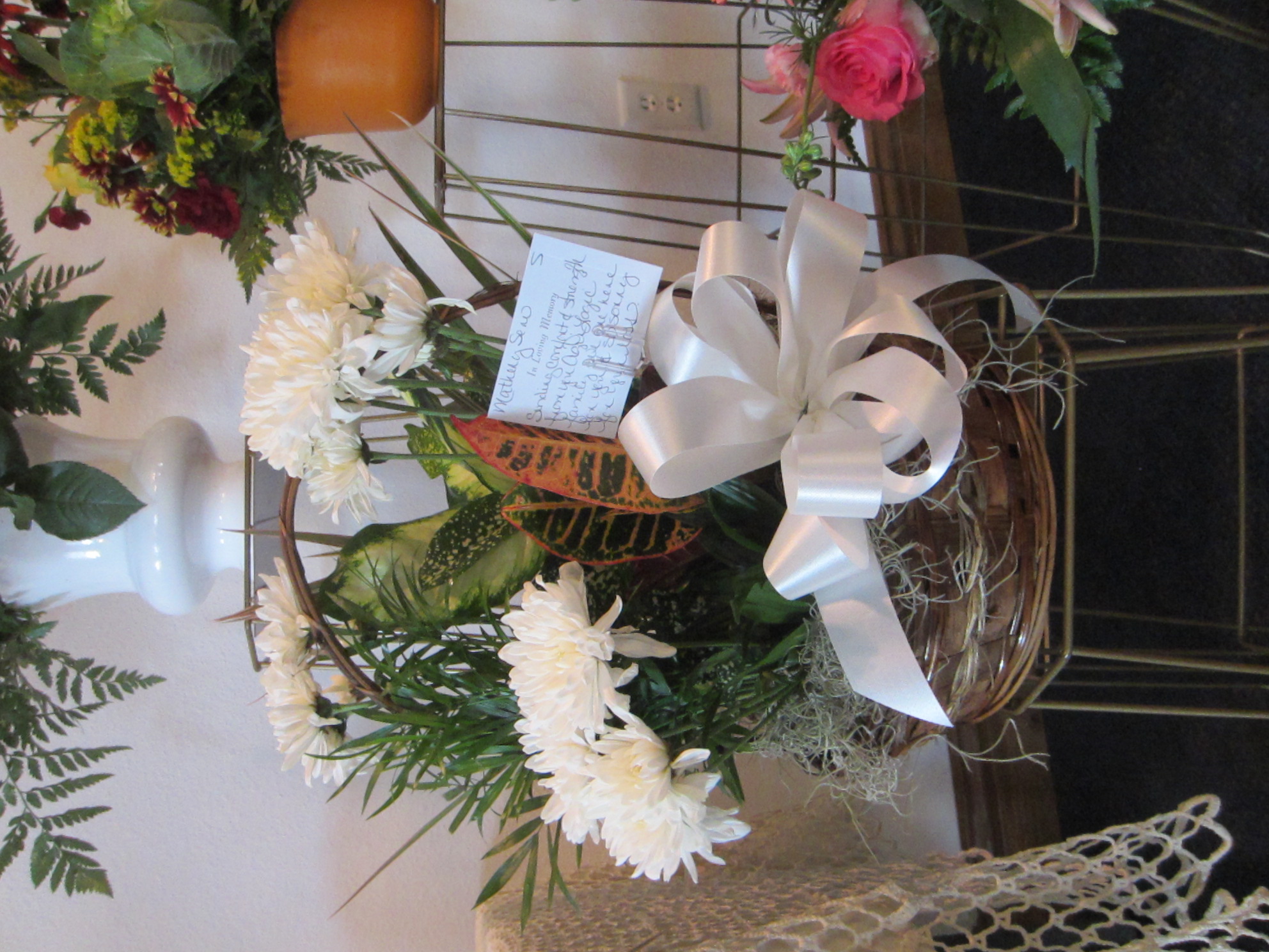 AgriLogicPlanter ComboPlants