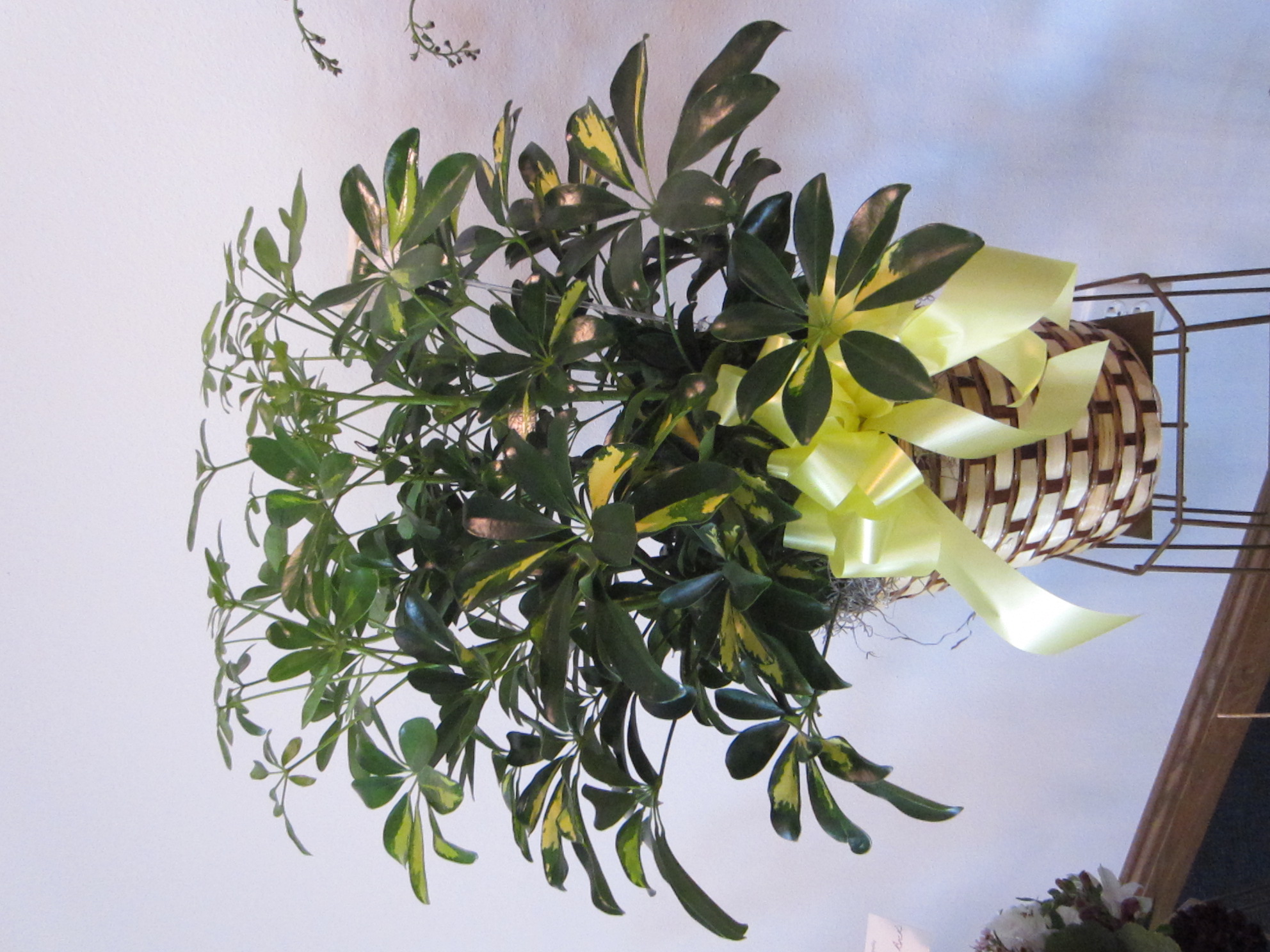 AgriLogicPlanter Large