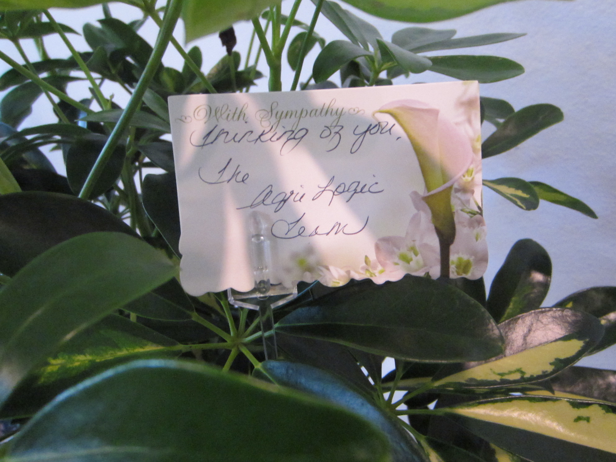 AgriLogicPlanter LargeCard