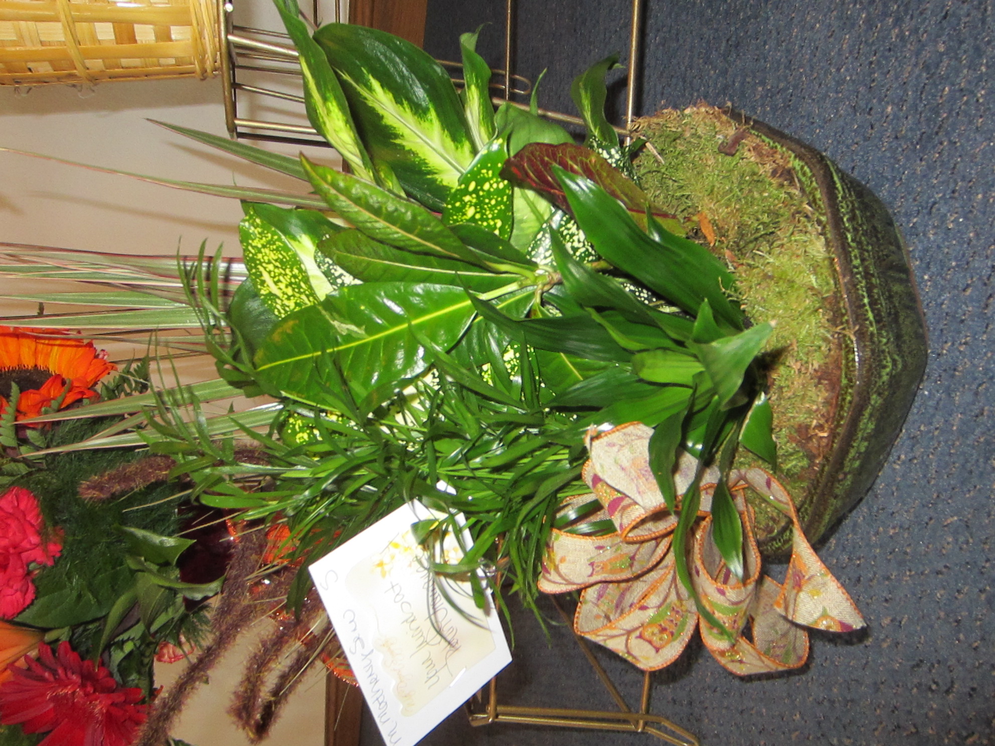 PekinInsurancePlanter