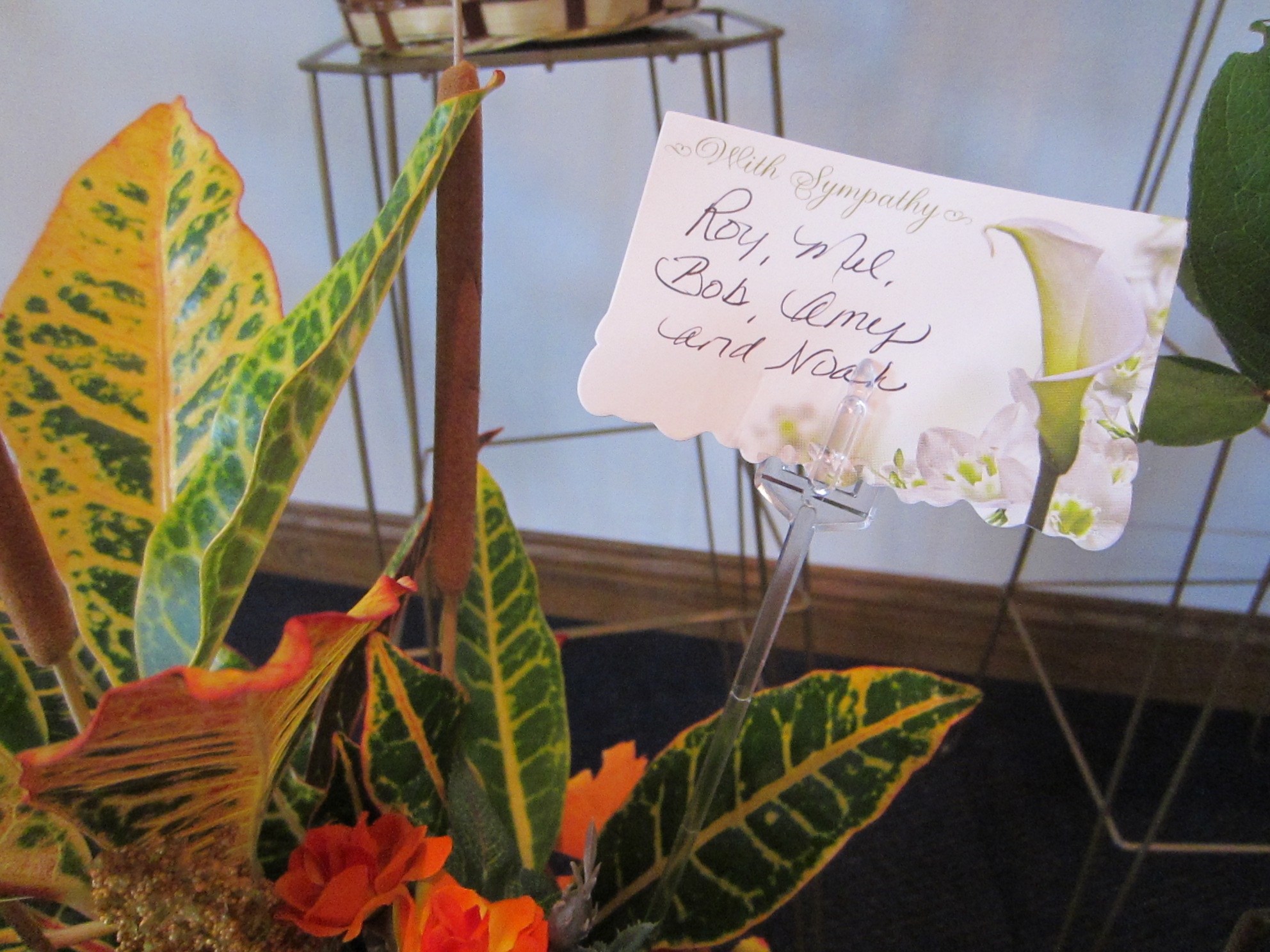 RoyMelBobAmyandNoahCard