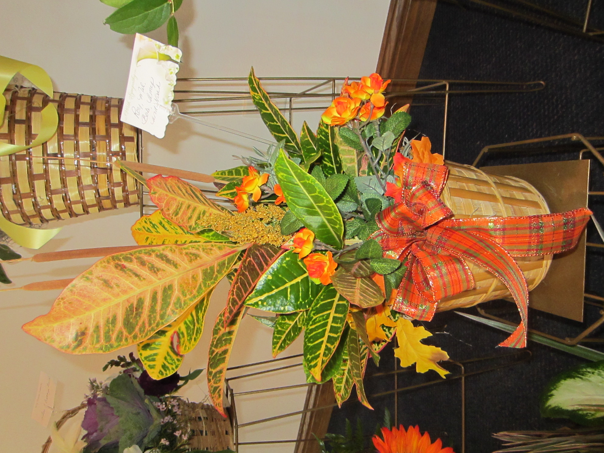 RoyMelBobAmyandNoahPlanter