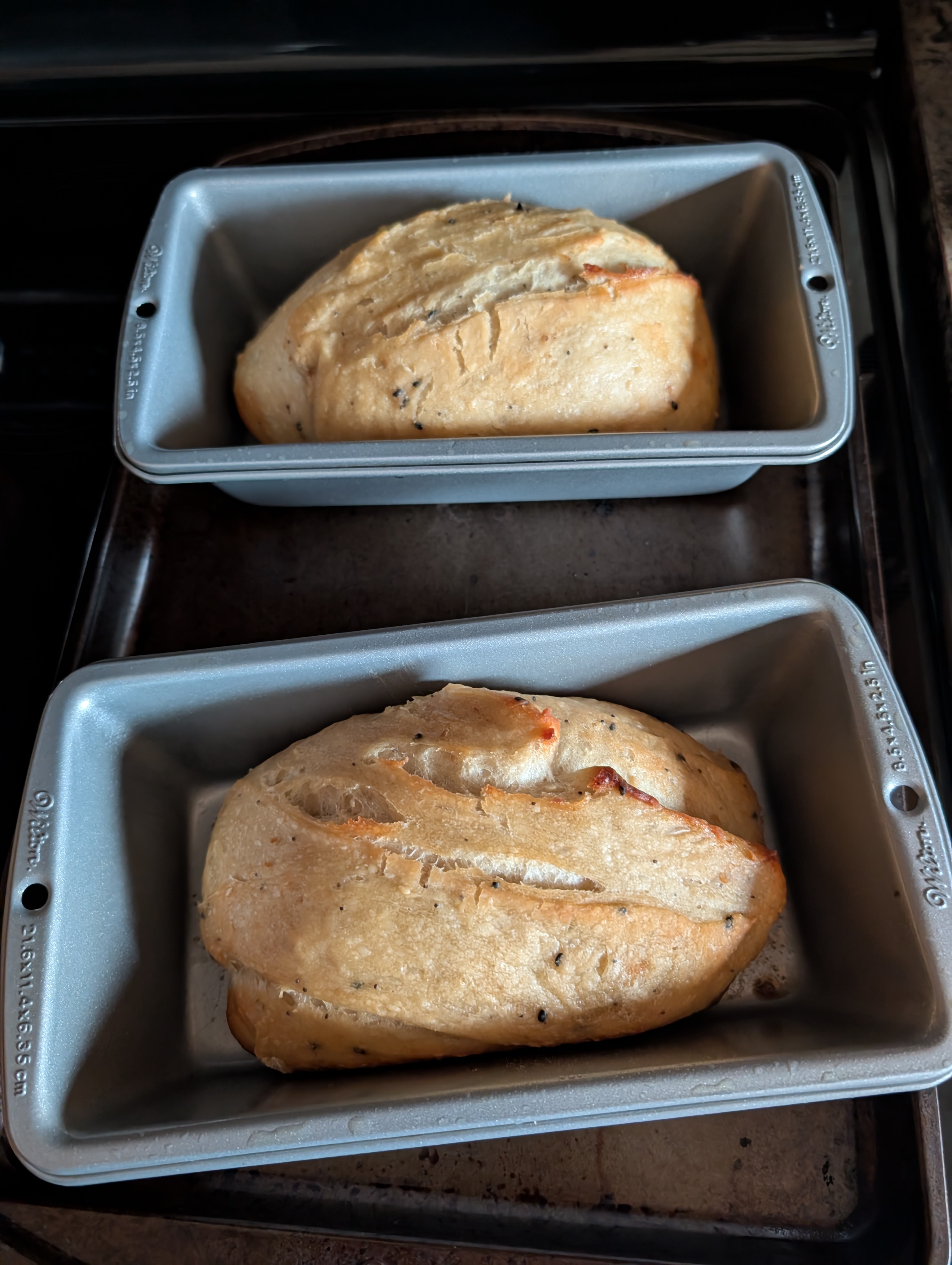 PXL 20250209 194746061