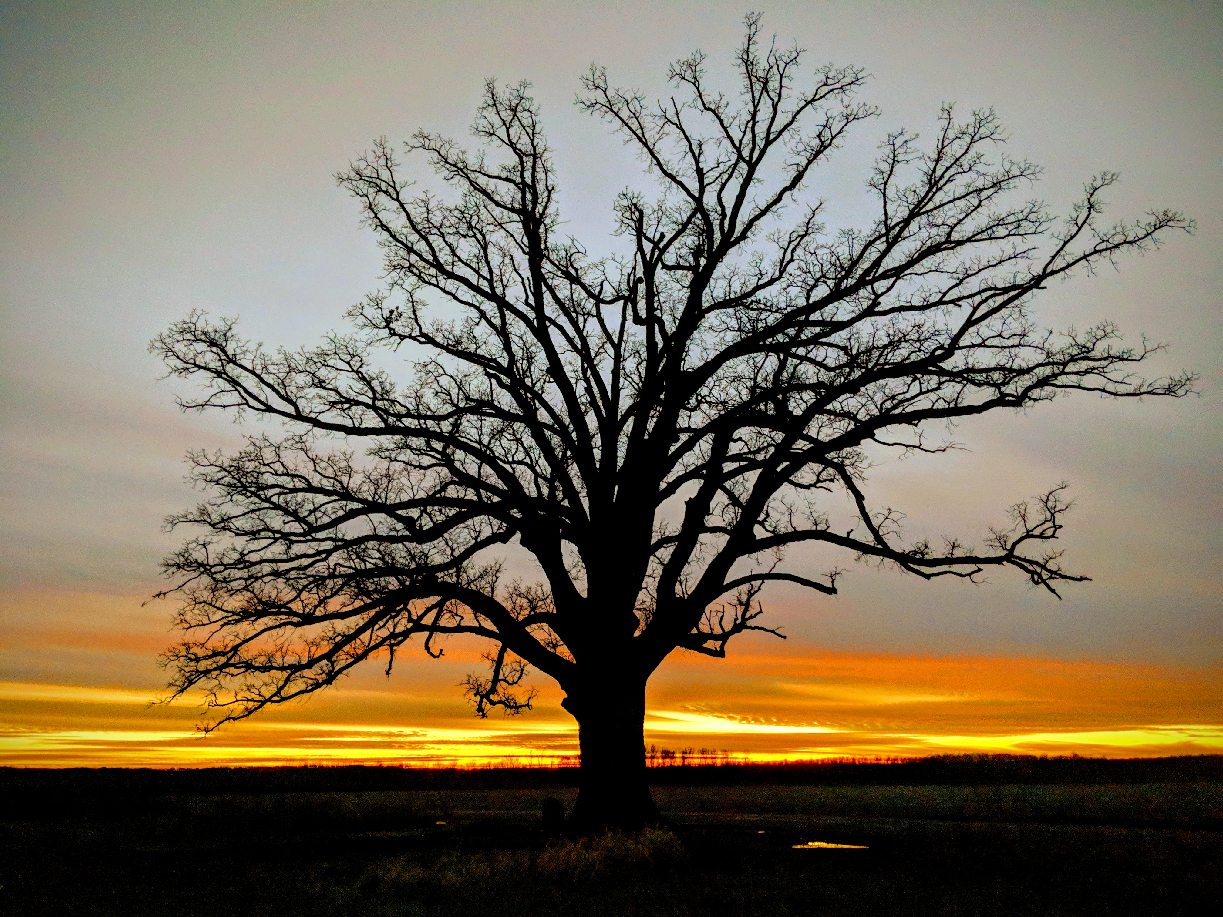 IMG 20181205 172357 EFFECTS