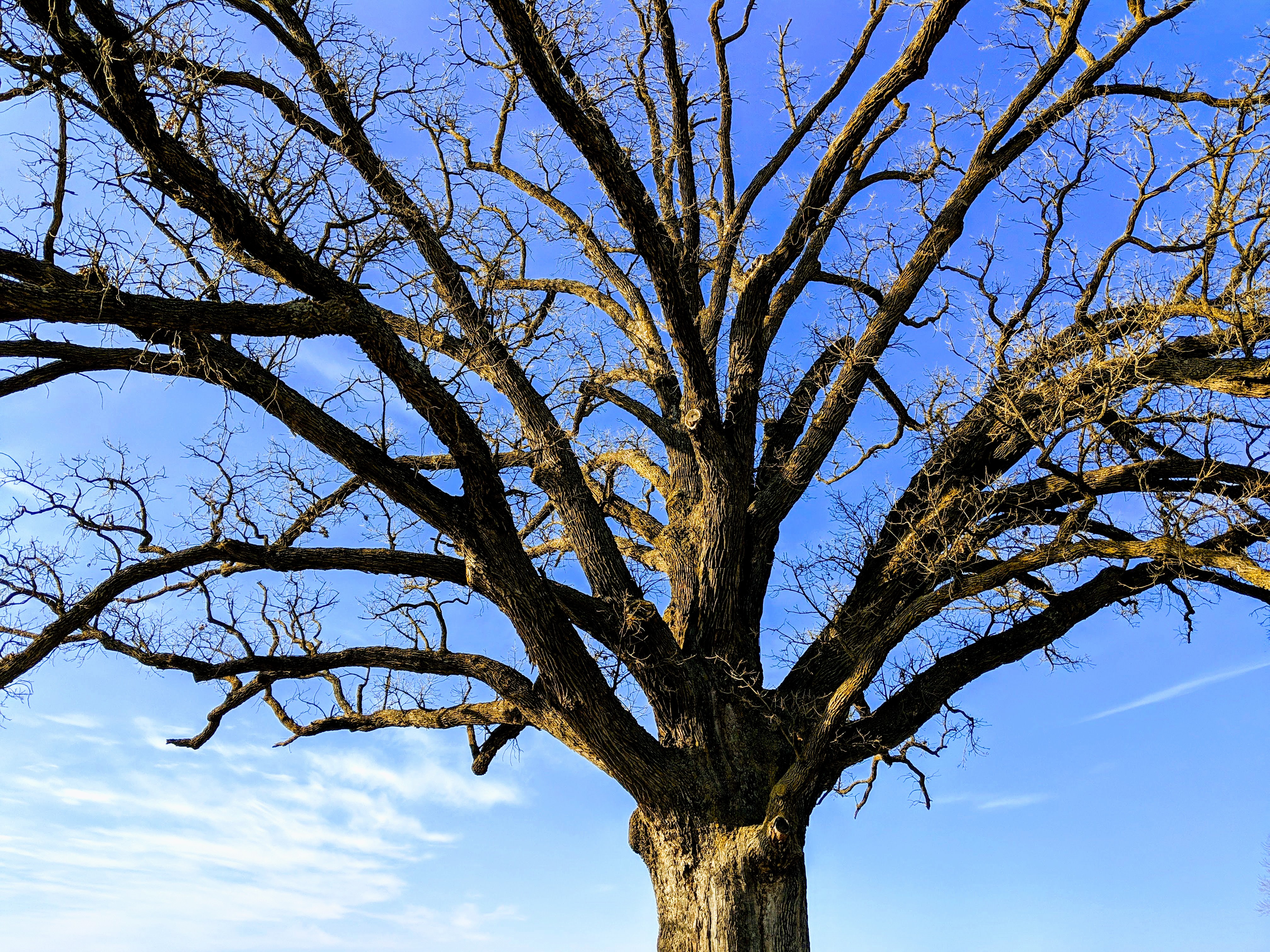 IMG 20181225 143040 EFFECTS