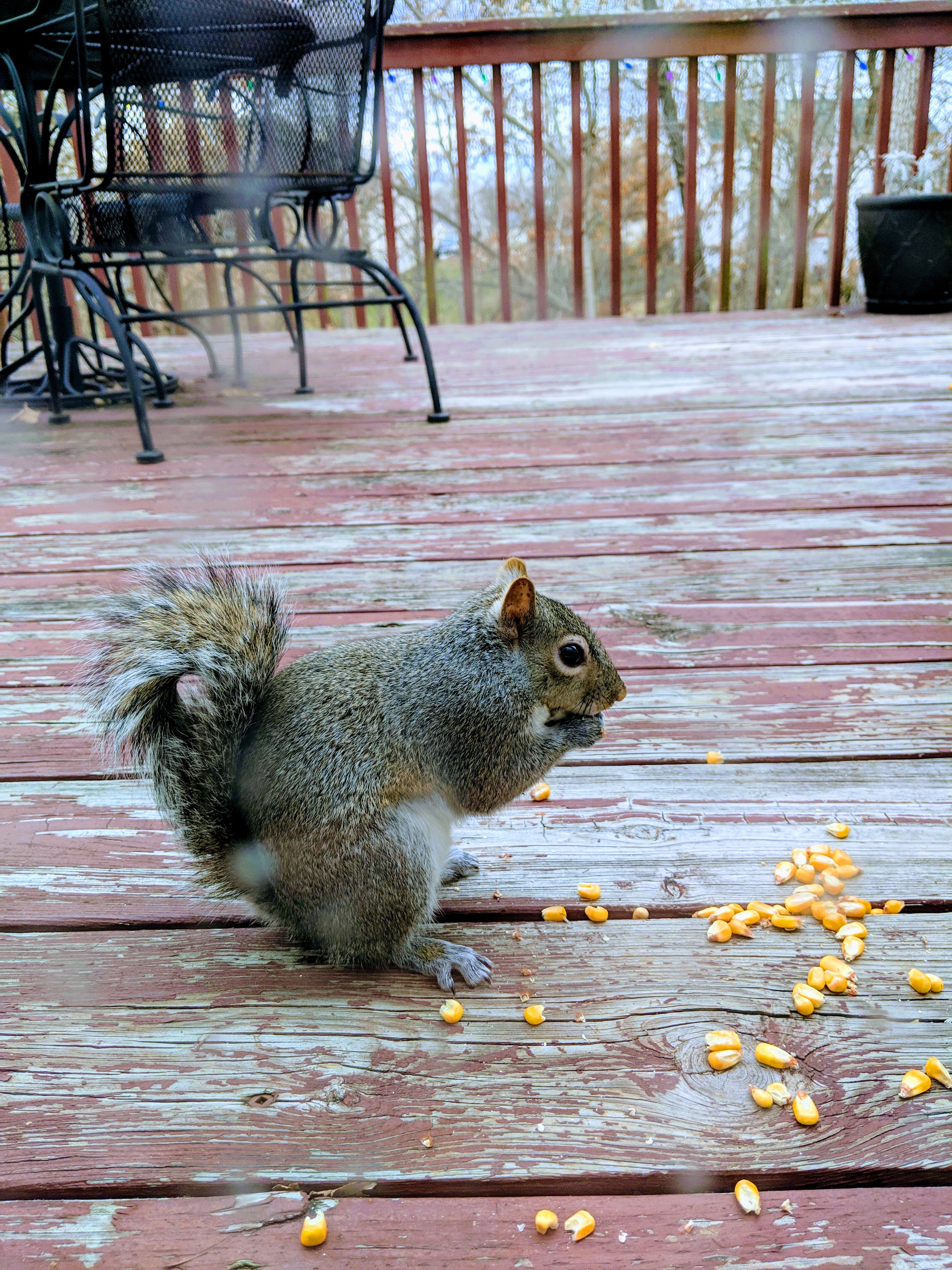 IMG 20190106 125955 EFFECTS