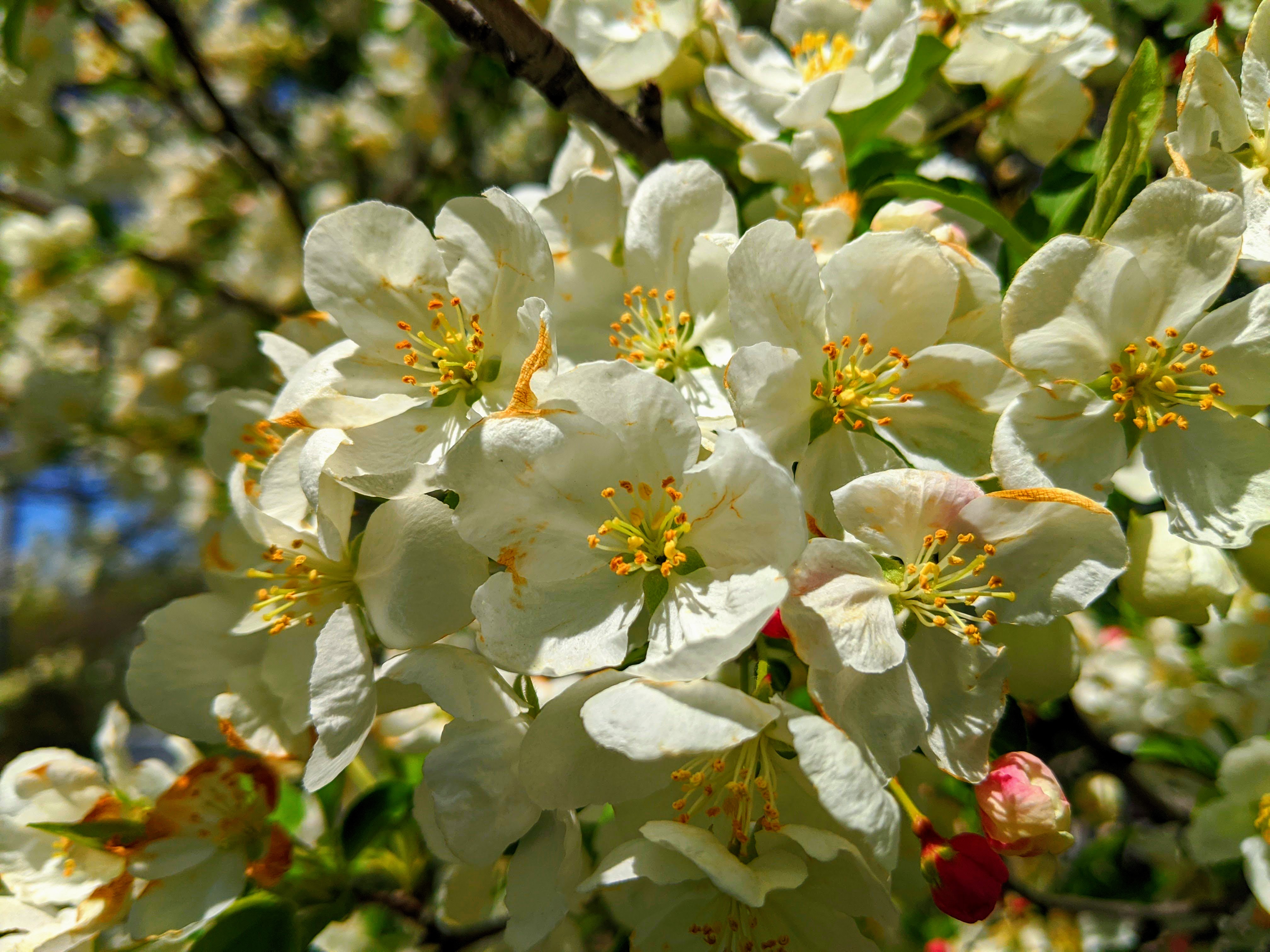 IMG 20200418 135645 EFFECTS edited