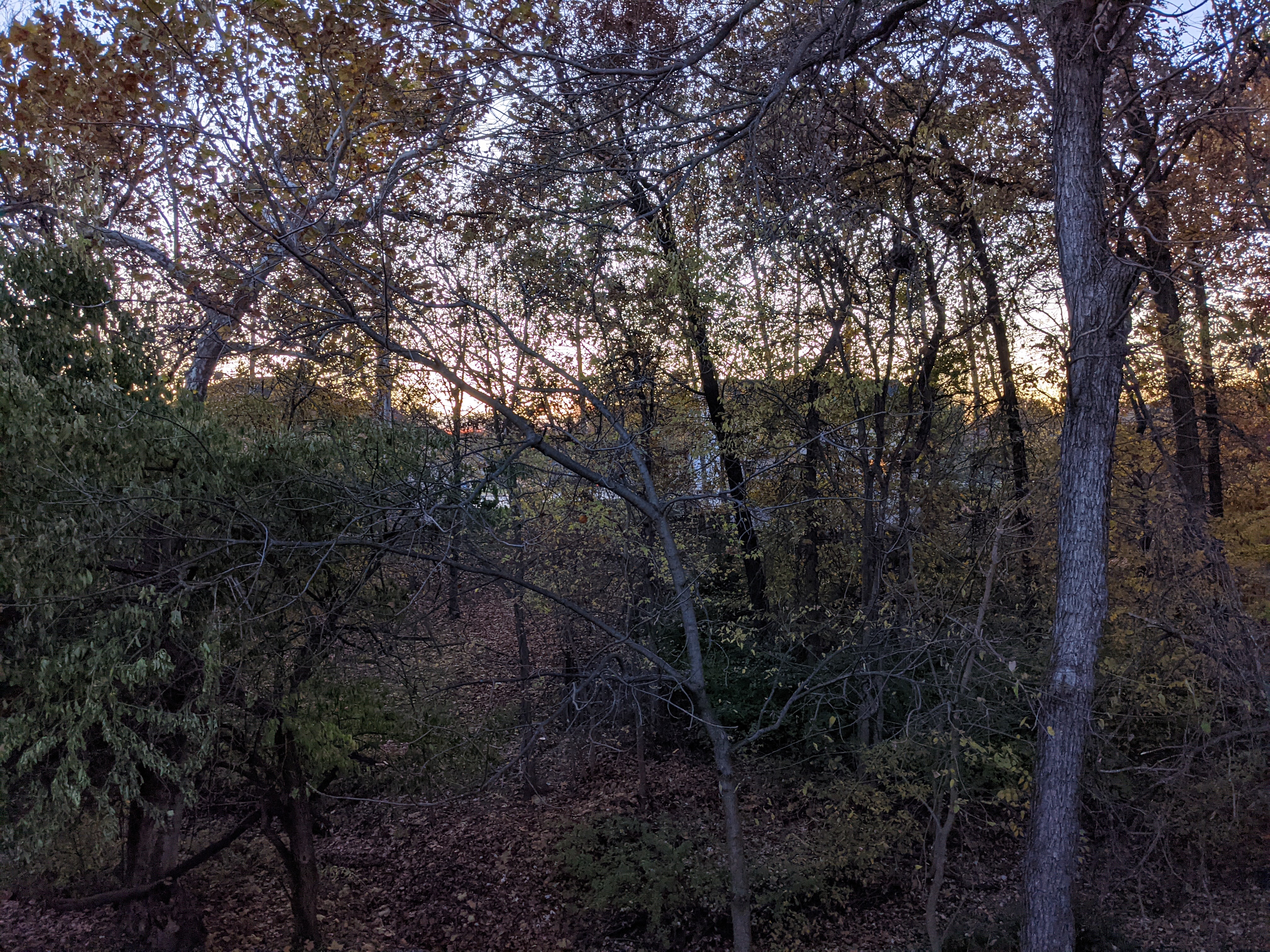 PXL 20201103 232153563