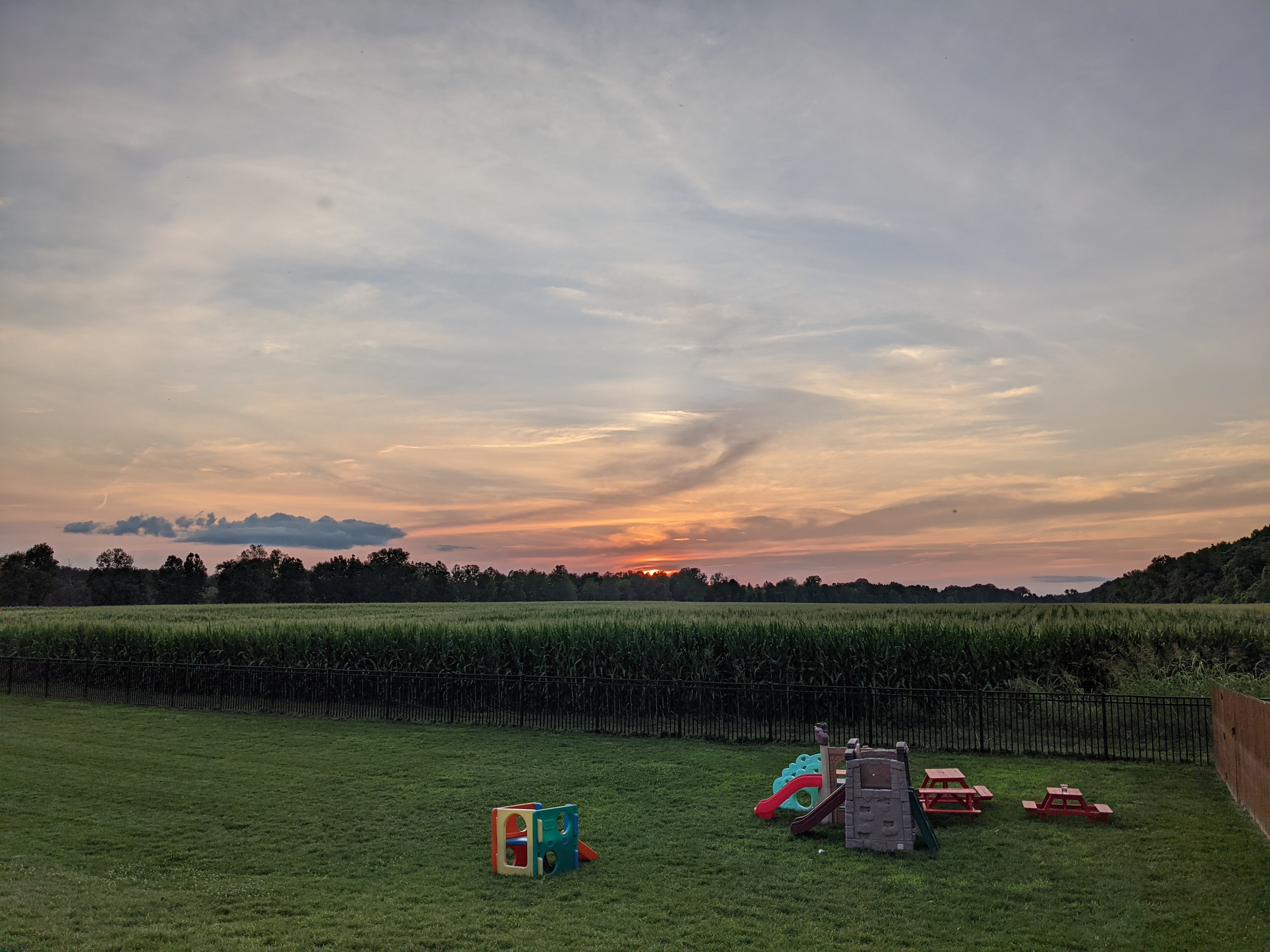 PXL 20210814 005826816