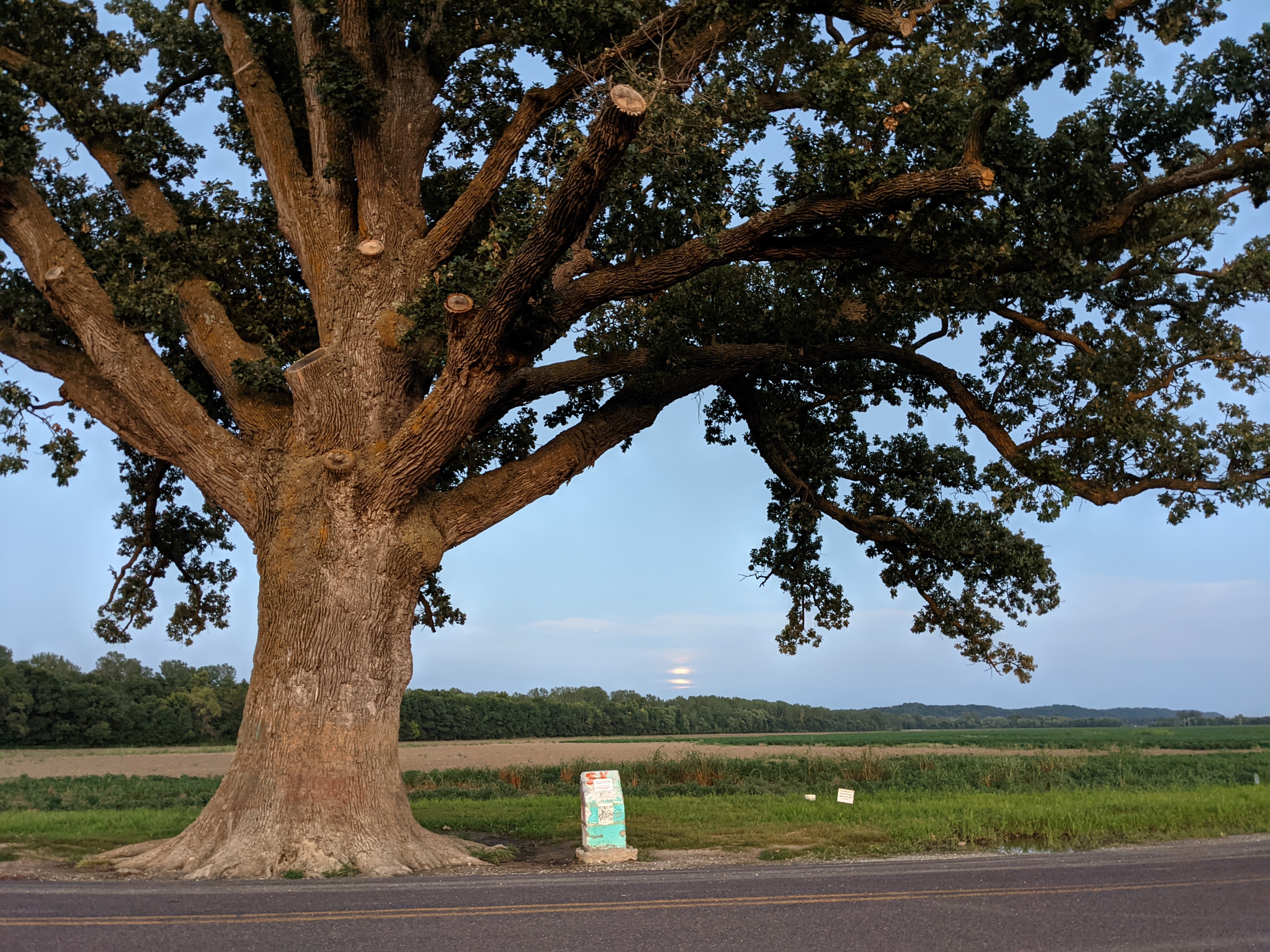 PXL 20210822 012042244