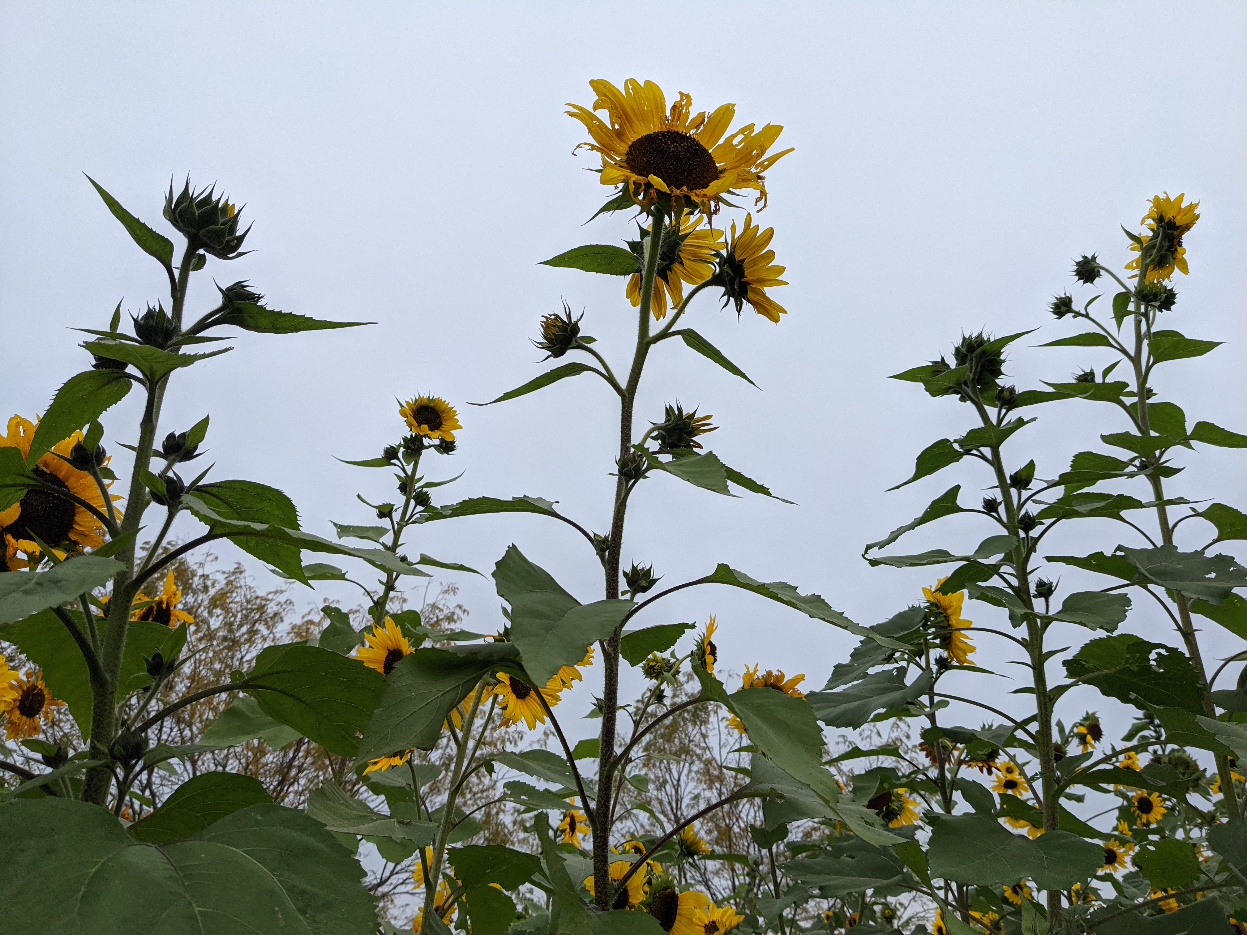 PXL 20211023 202157320