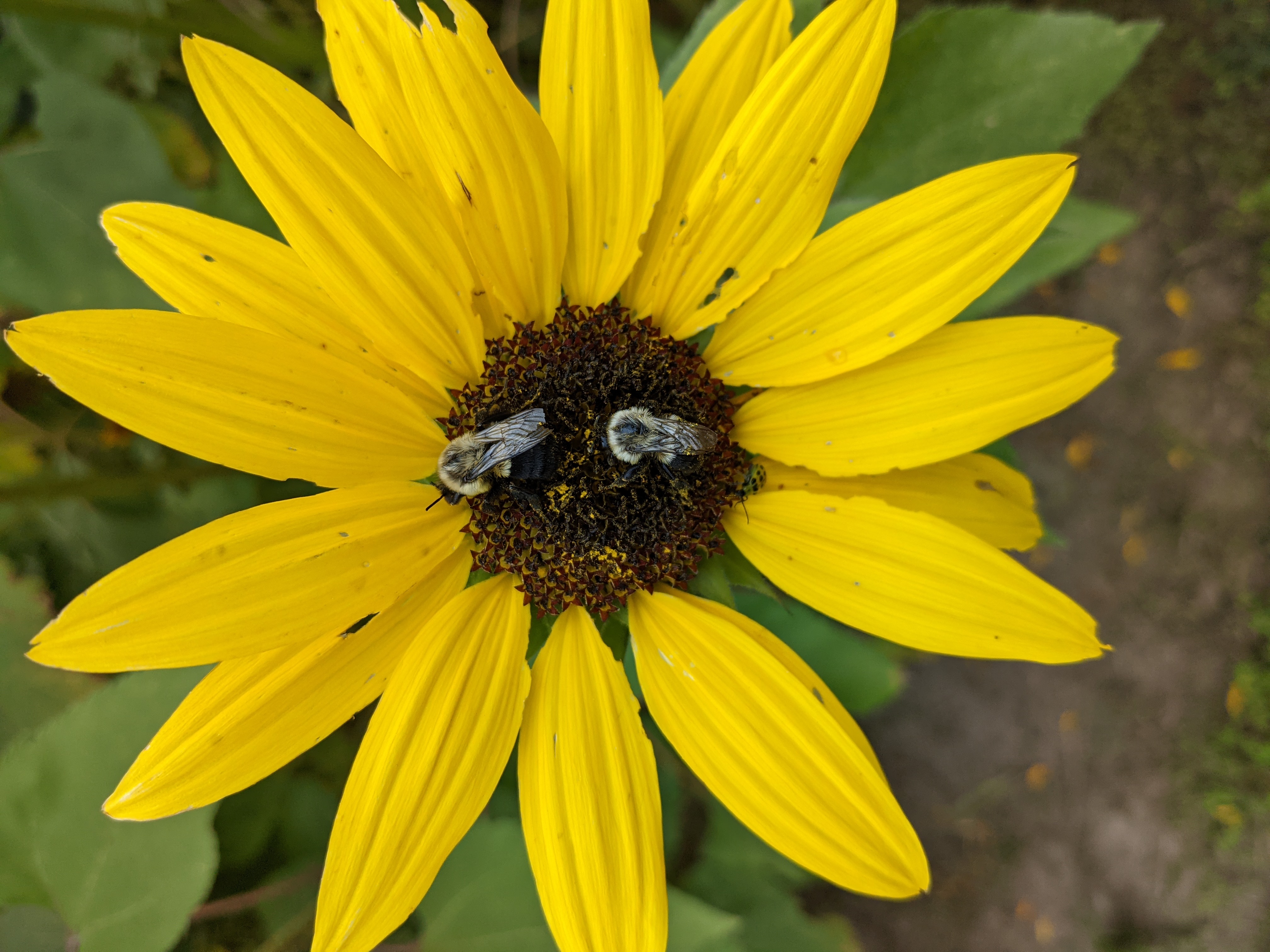 PXL 20211023 202206484