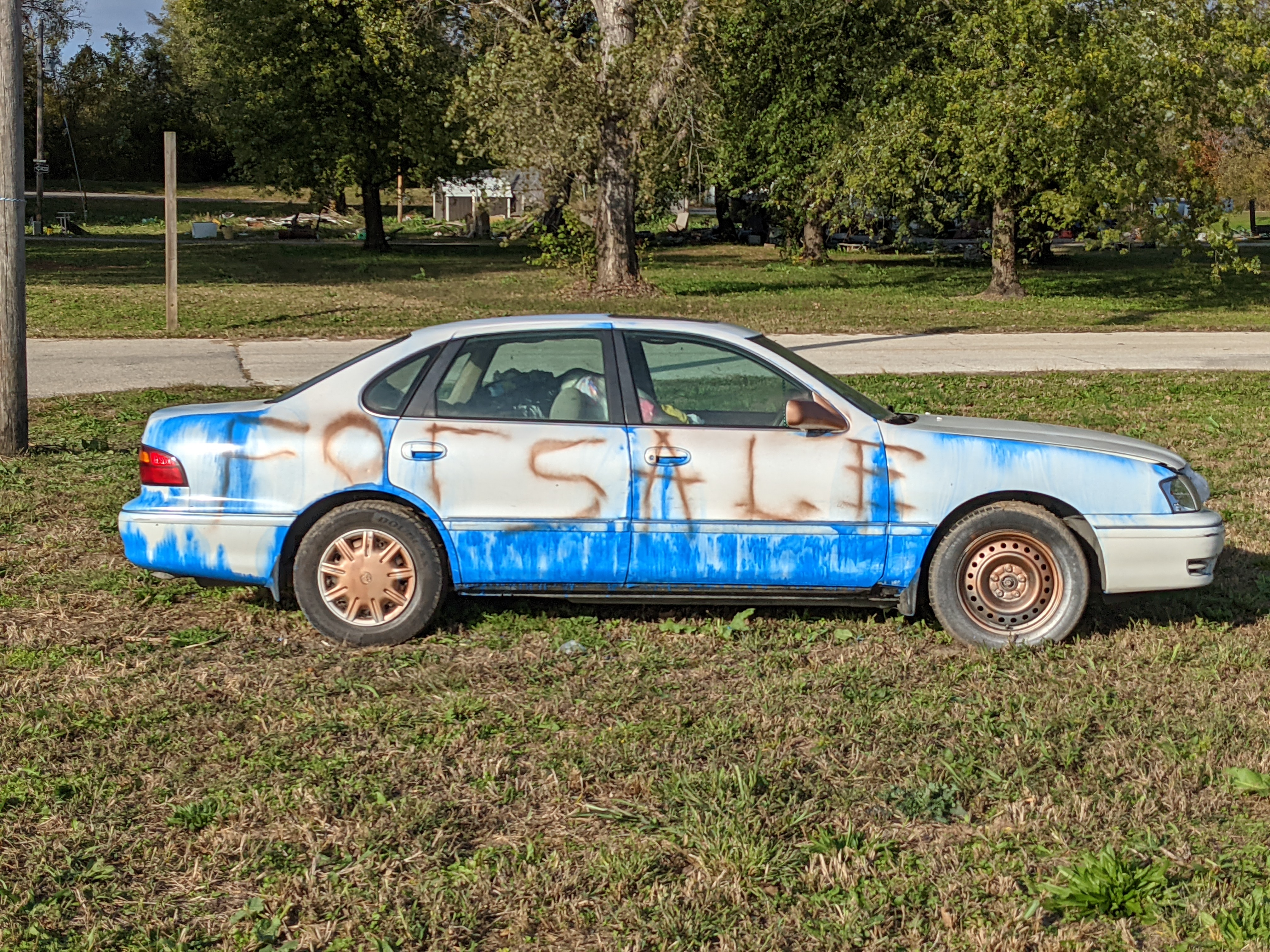 PXL 20211026 210142681