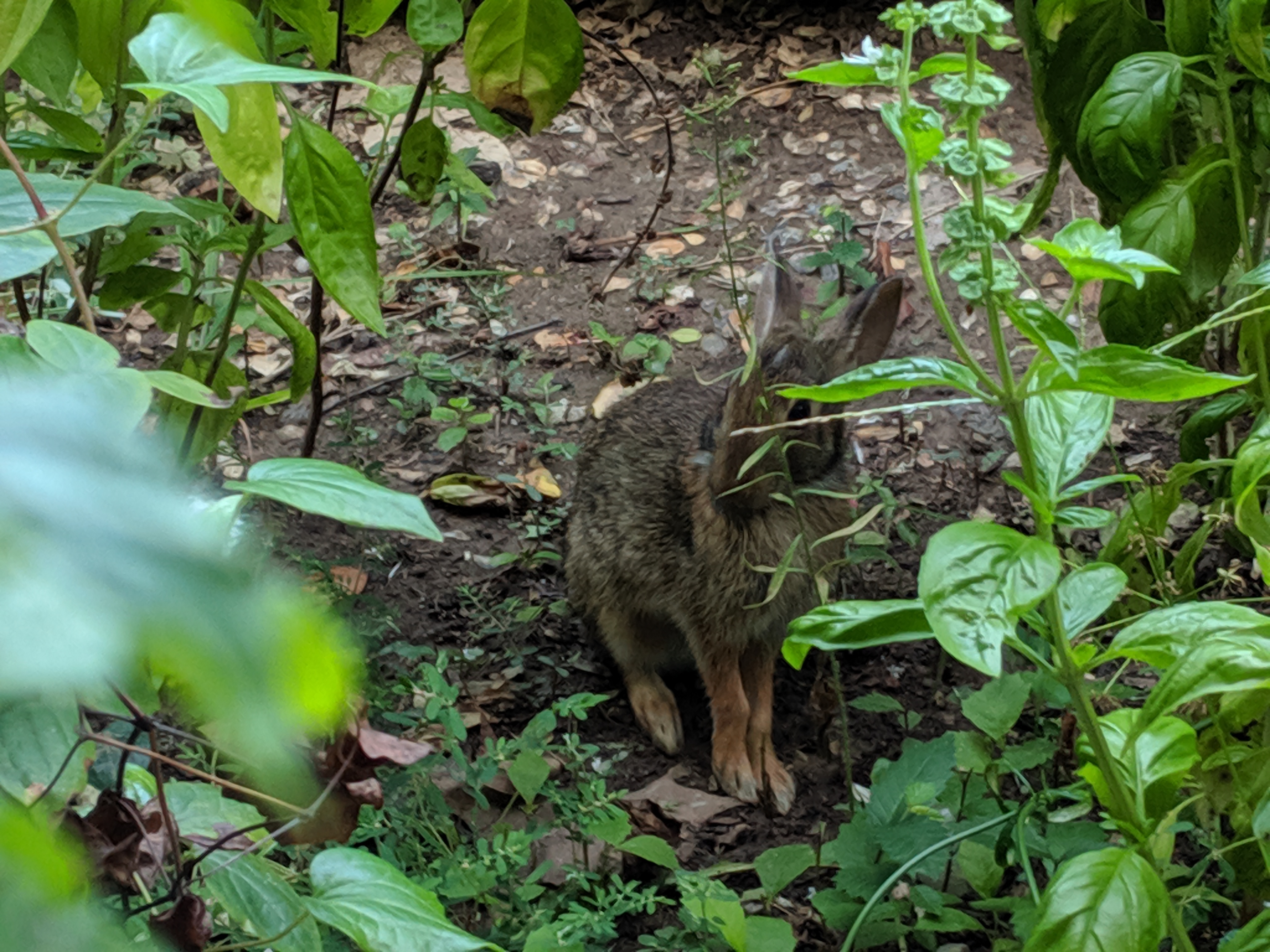 MVIMG 20190823 161235