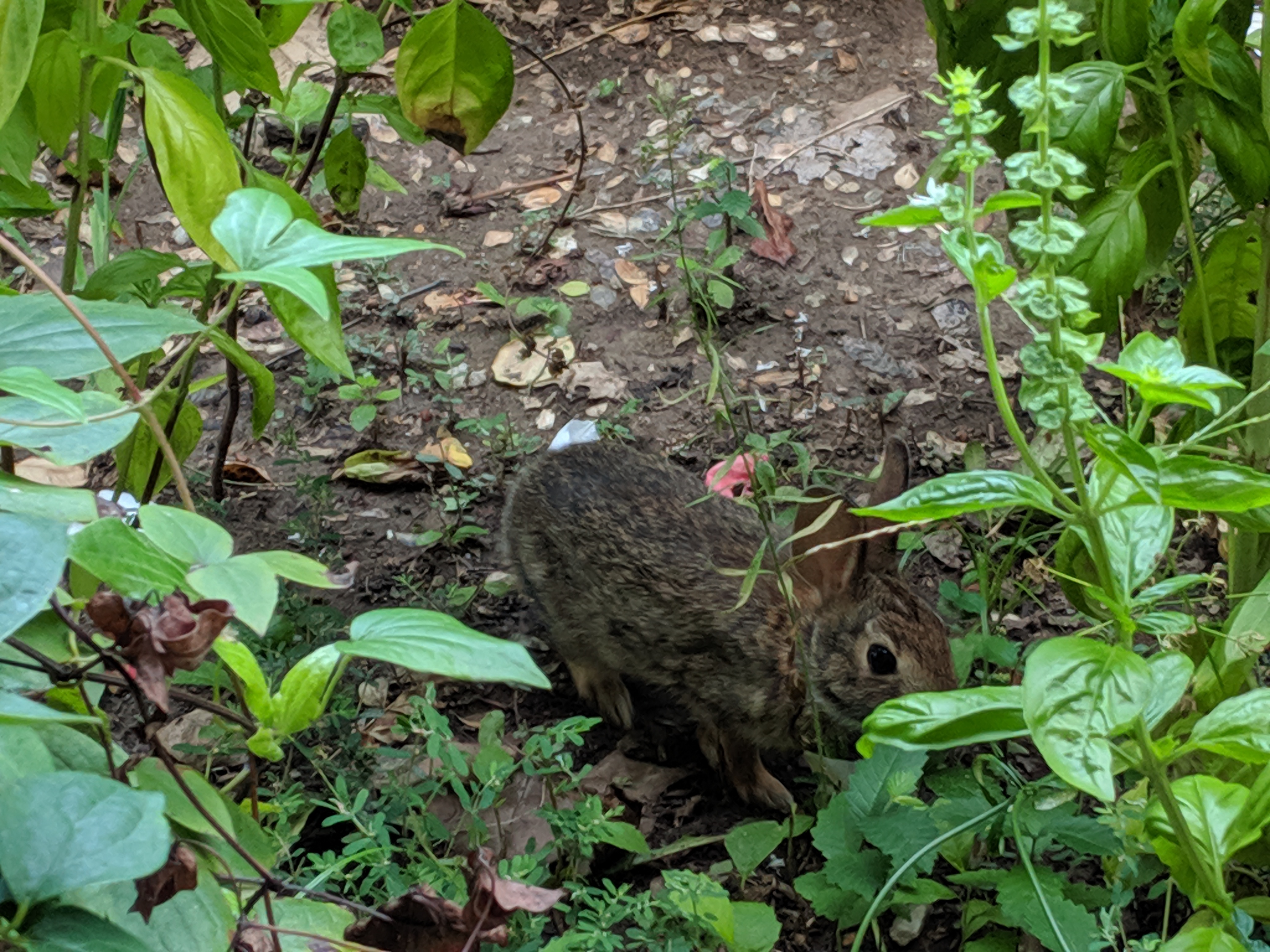 MVIMG 20190823 161241