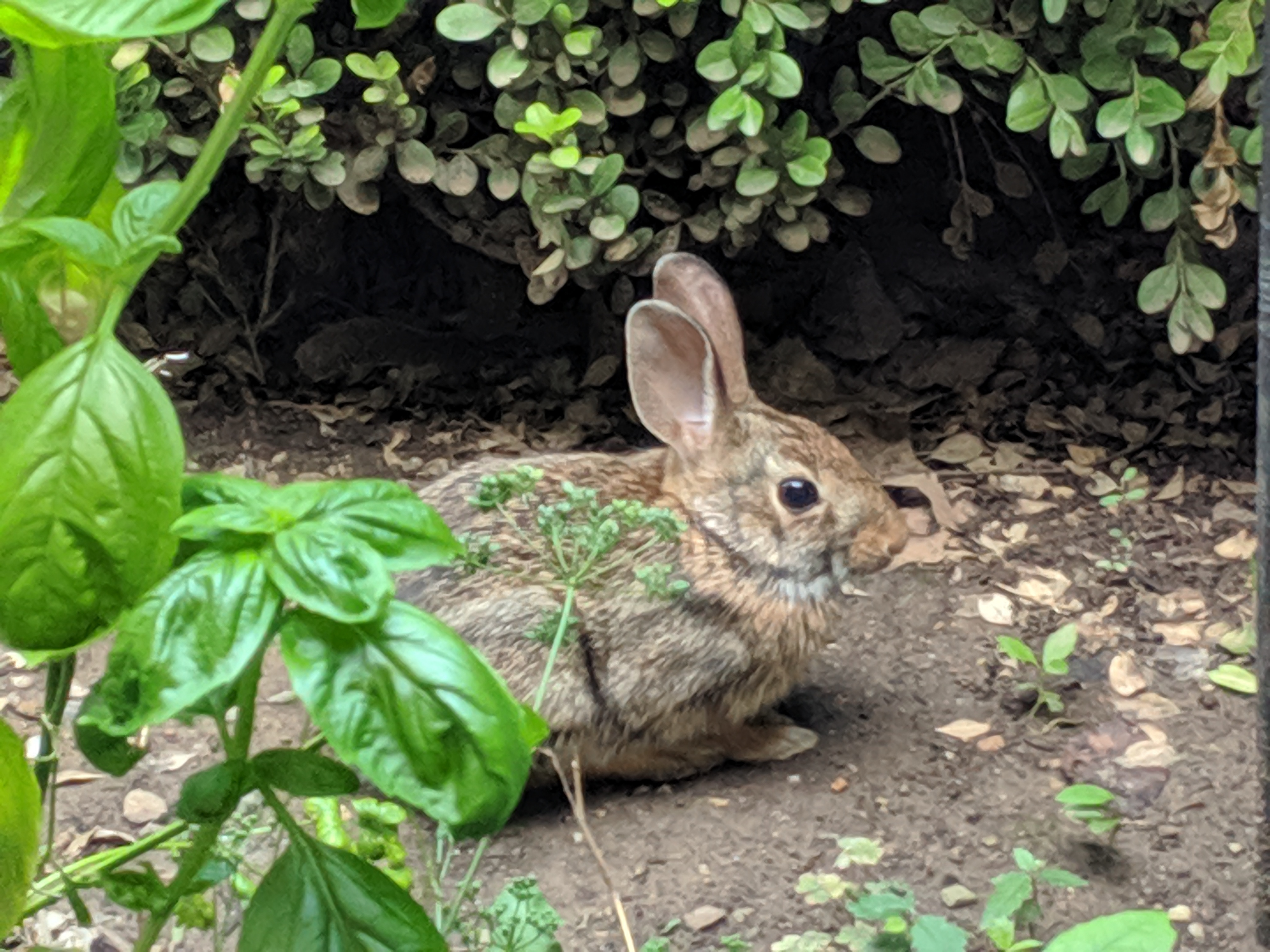 MVIMG 20190823 161726