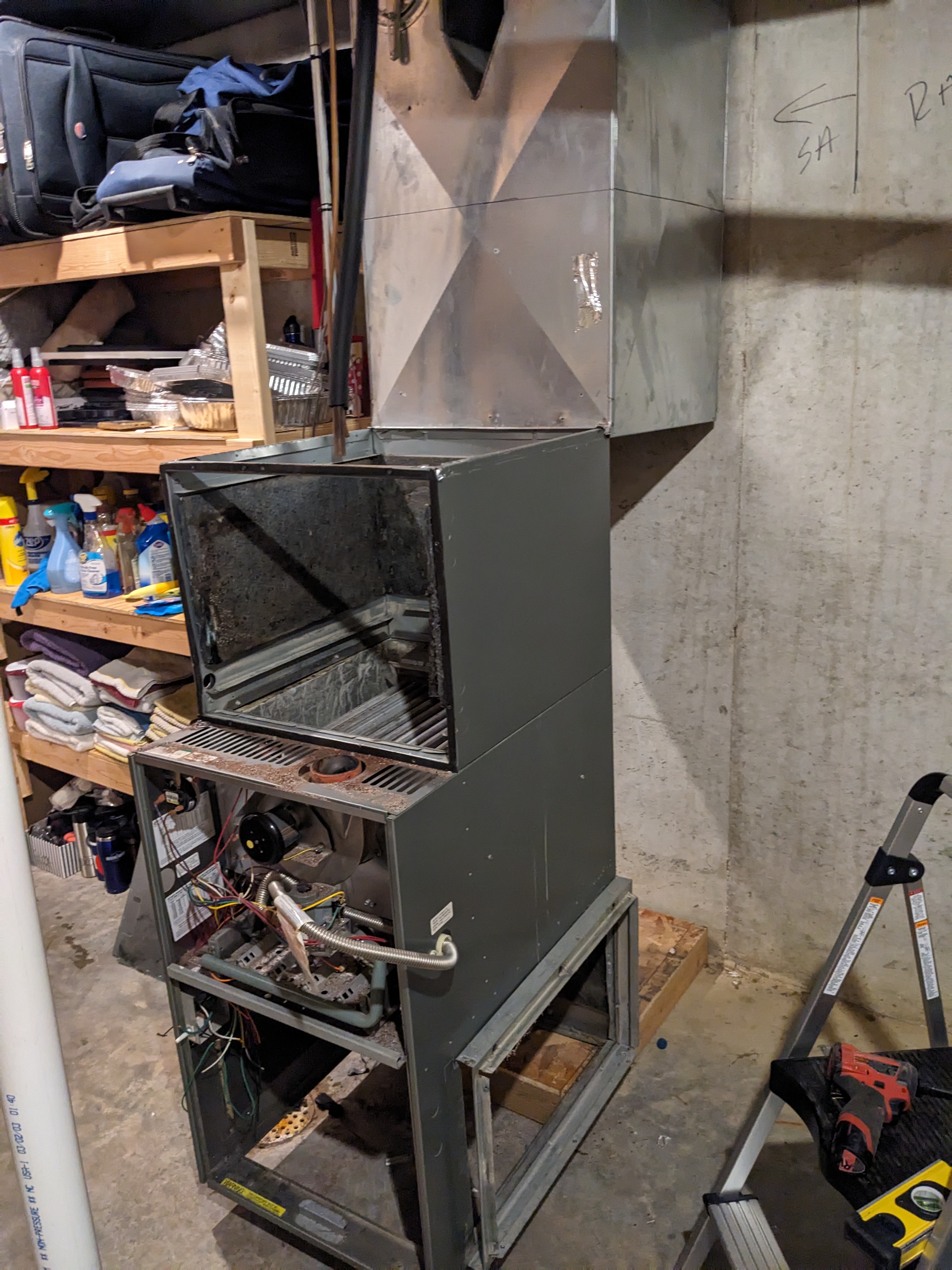 PXL 20240621 135718834