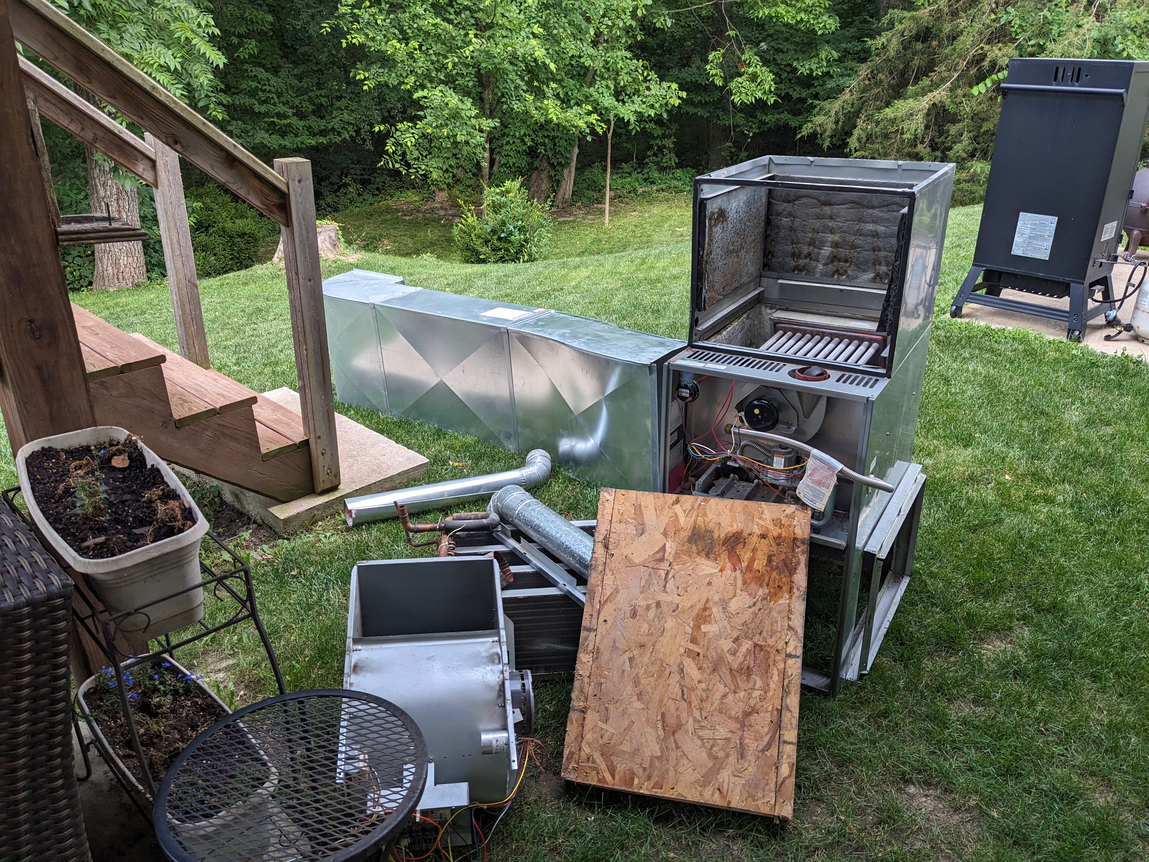 PXL 20240621 143519125