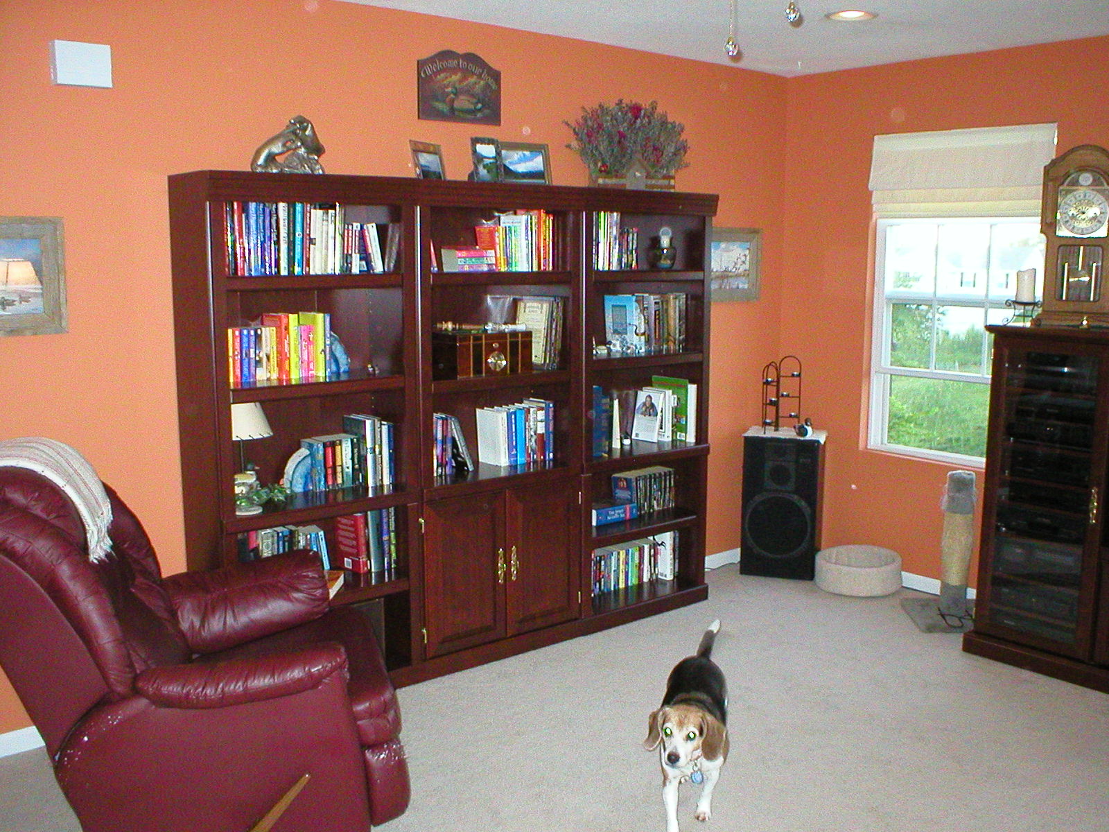 Family room 2