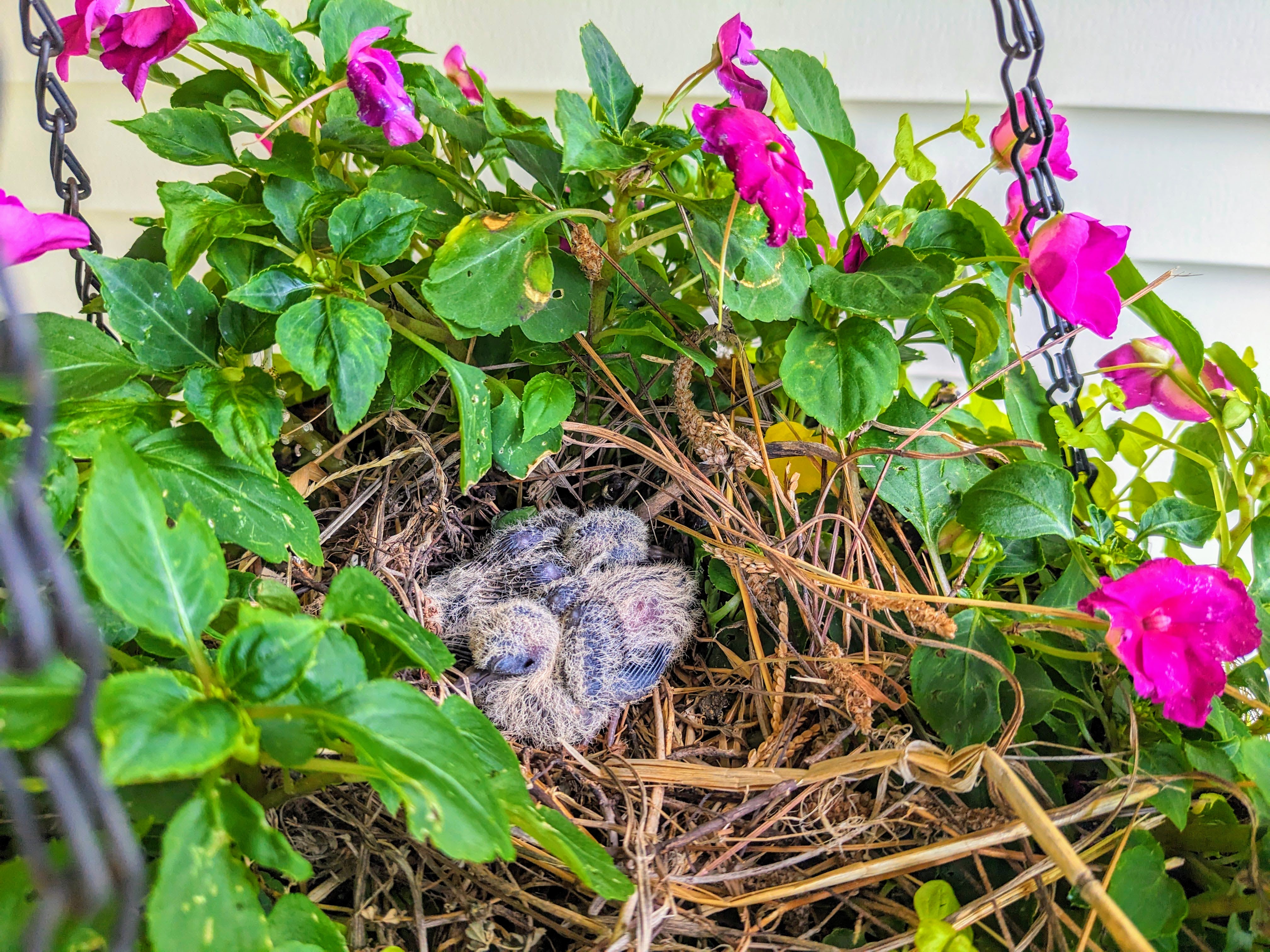 PXL 20230720 235741556 EFFECTS