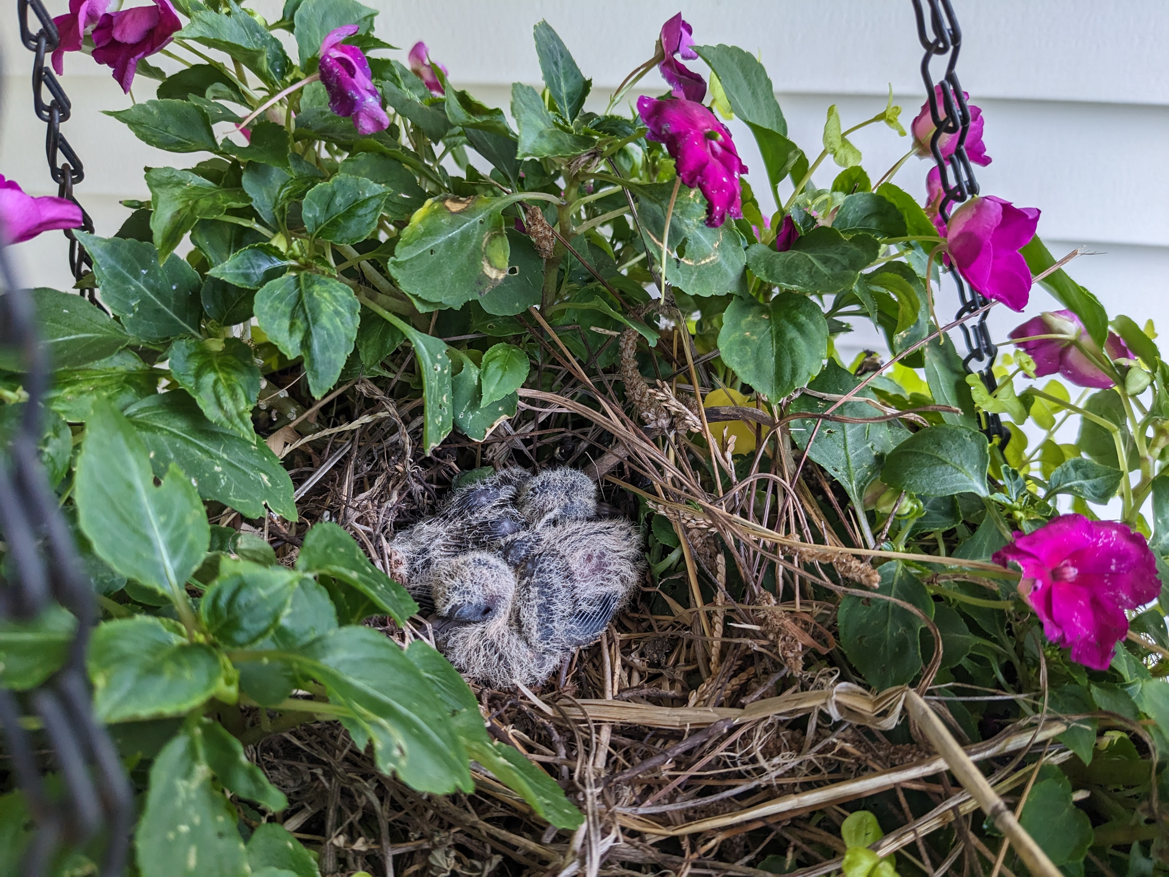 PXL 20230720 235741556