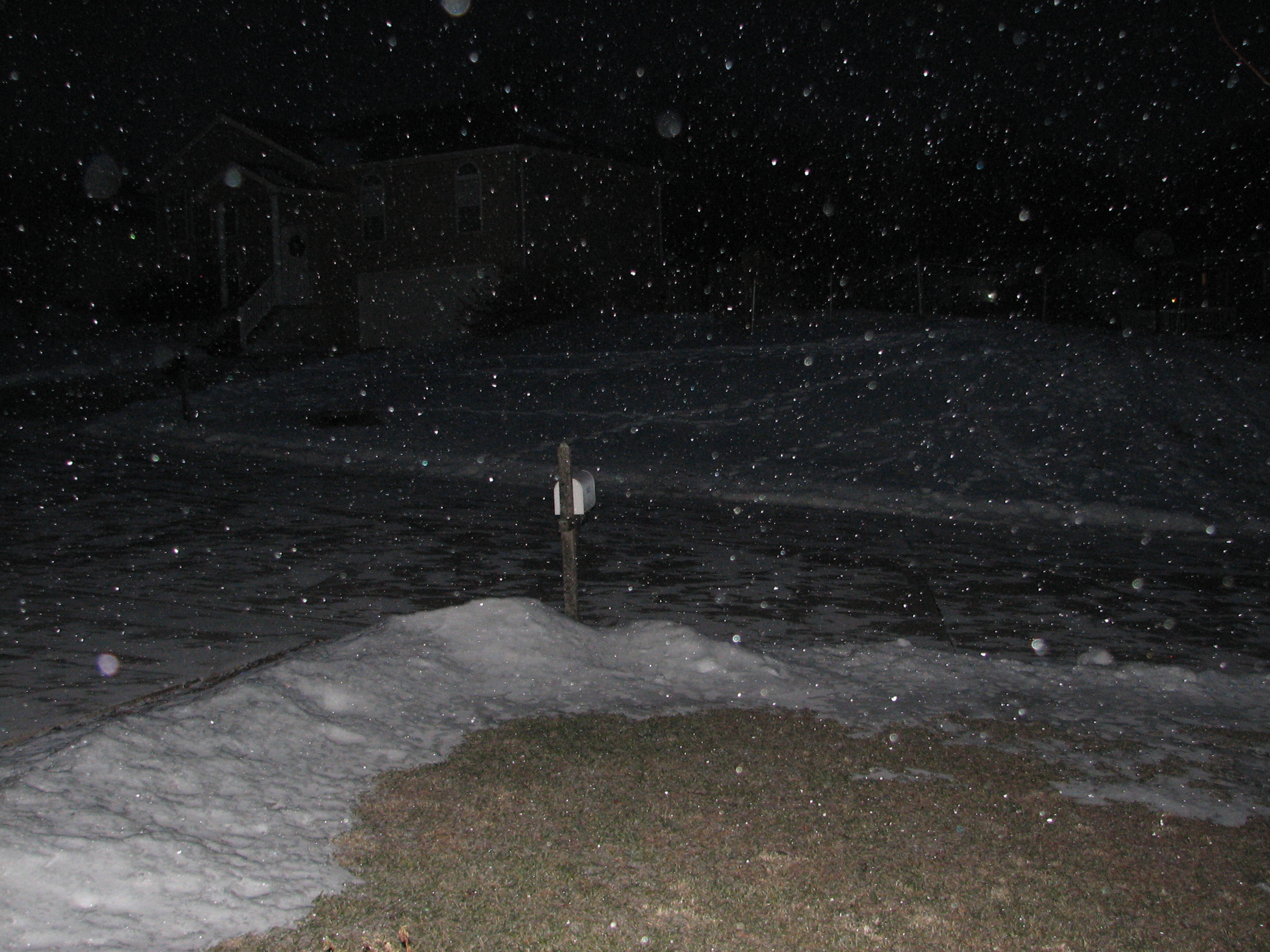 Feb 1, 2011 Snowstorm