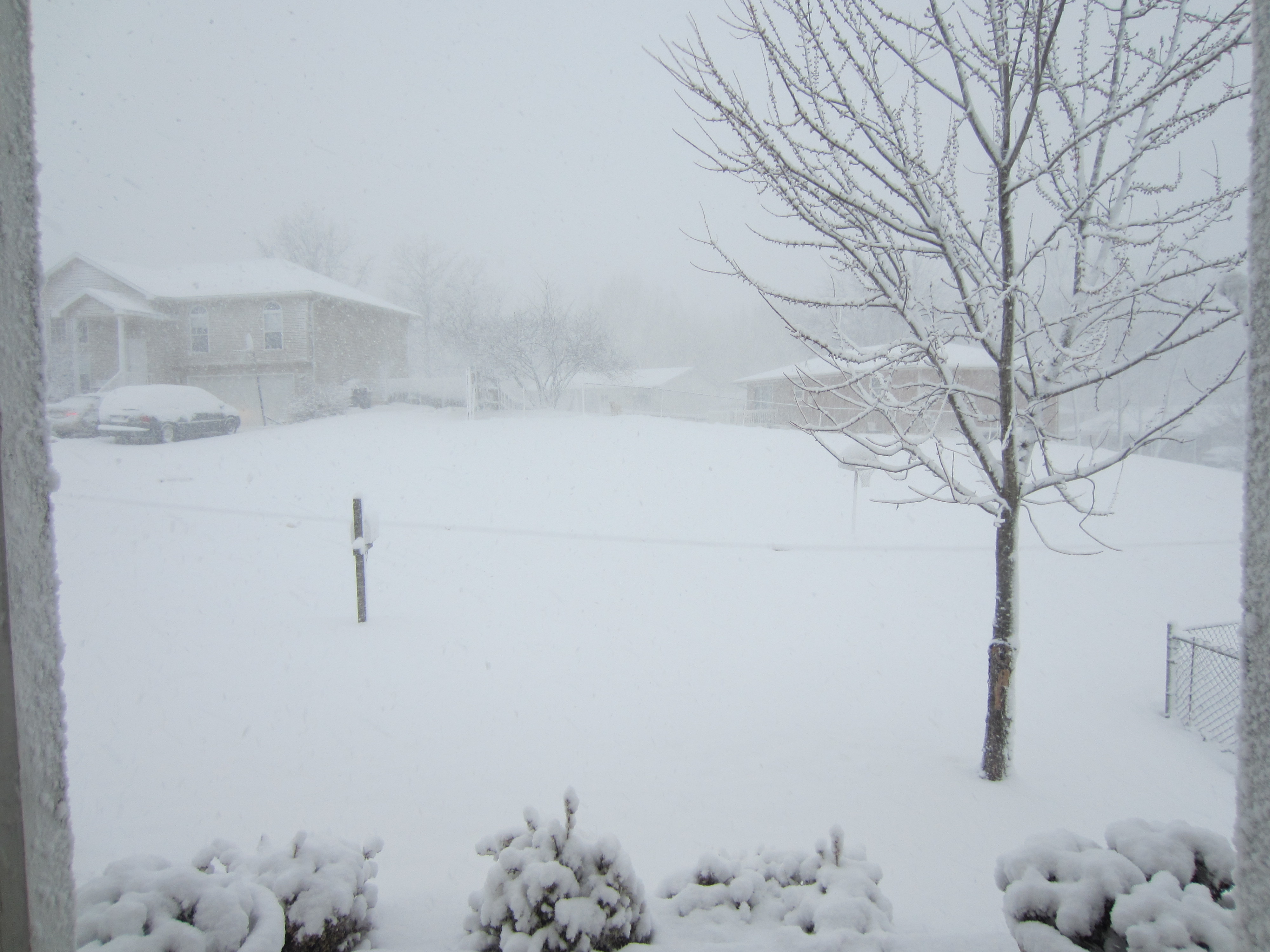 March 2013 Snowstorm