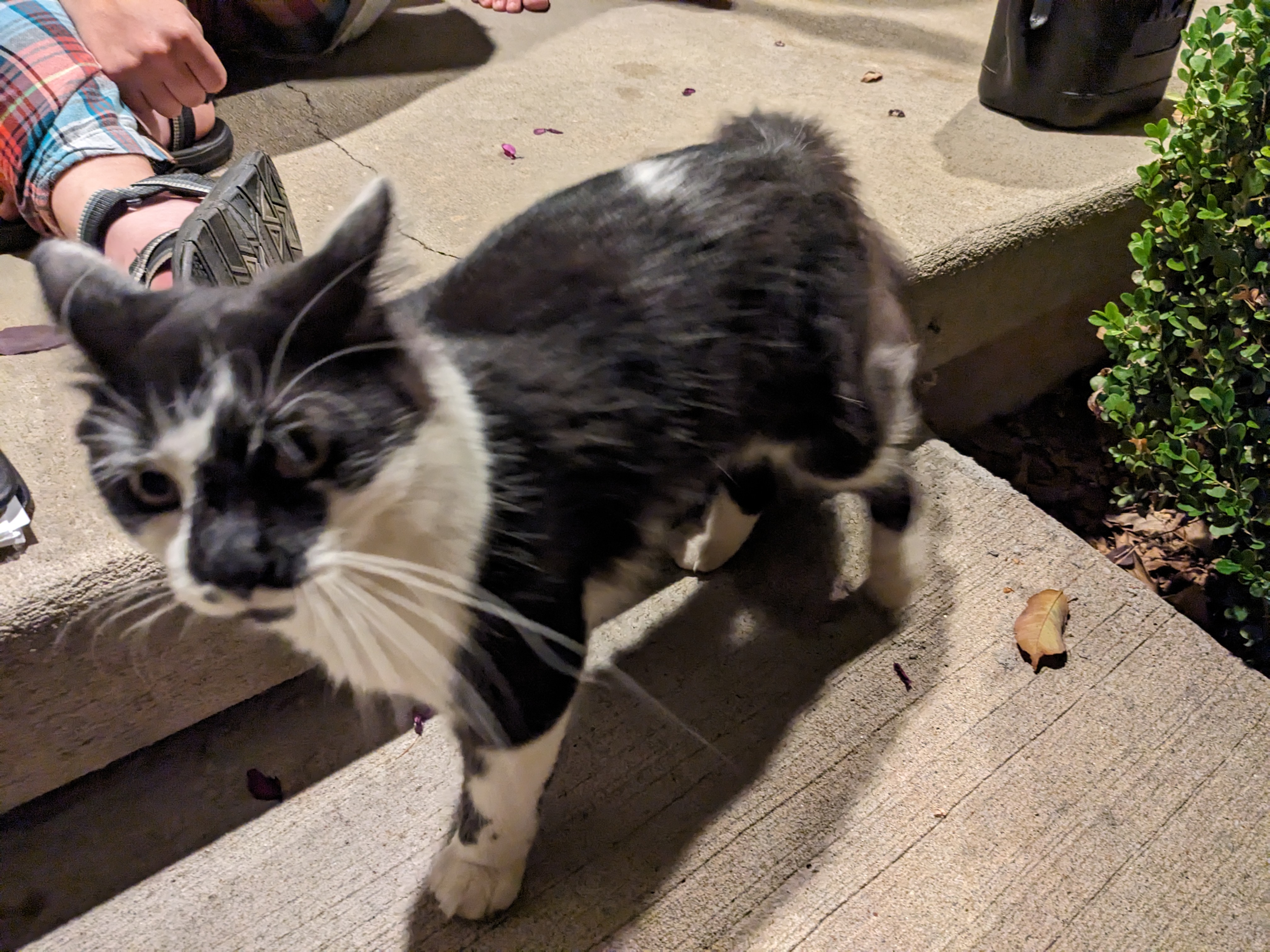 PXL 20230929 021258579.MP