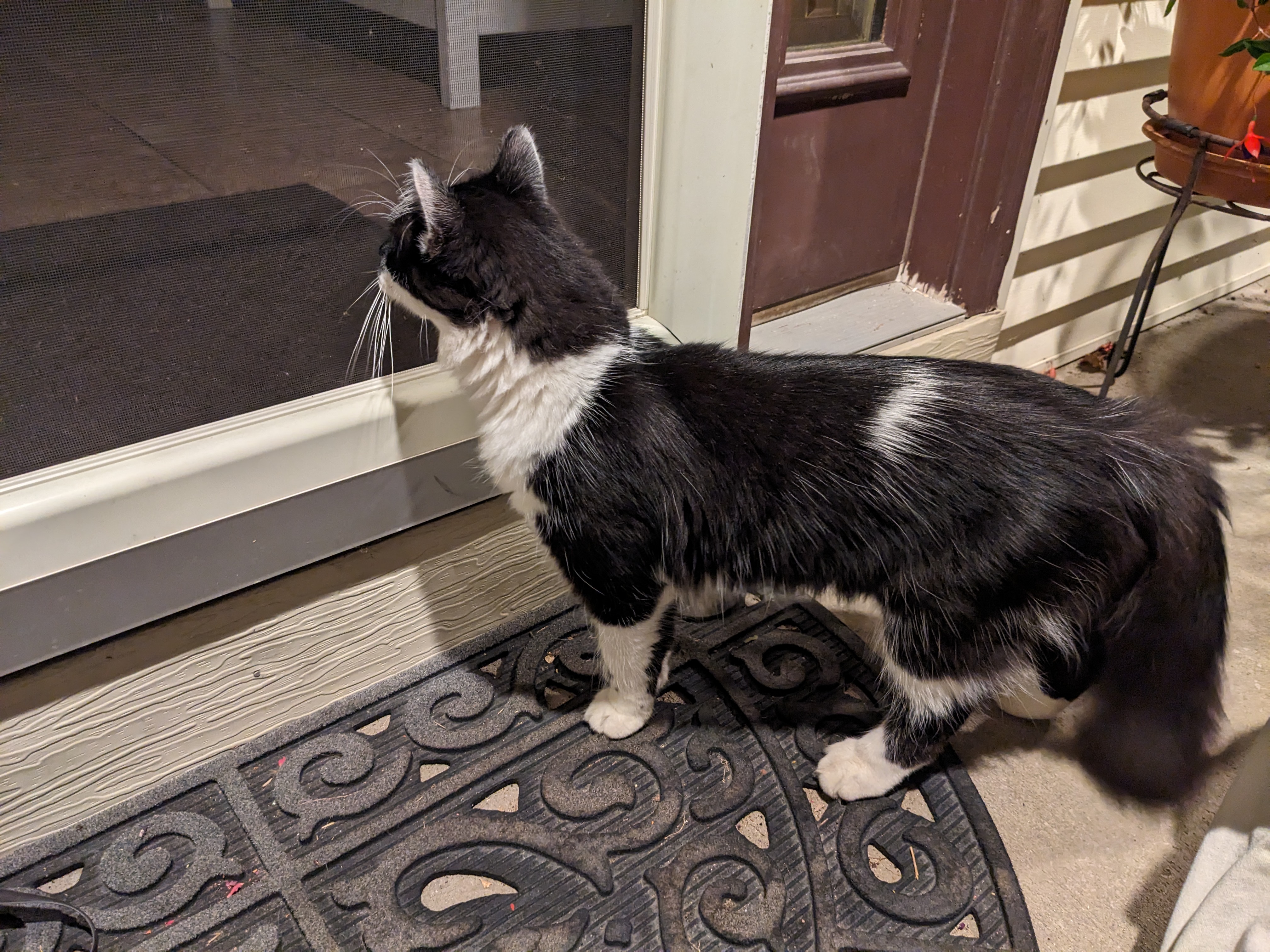 PXL 20230929 021320907.MP