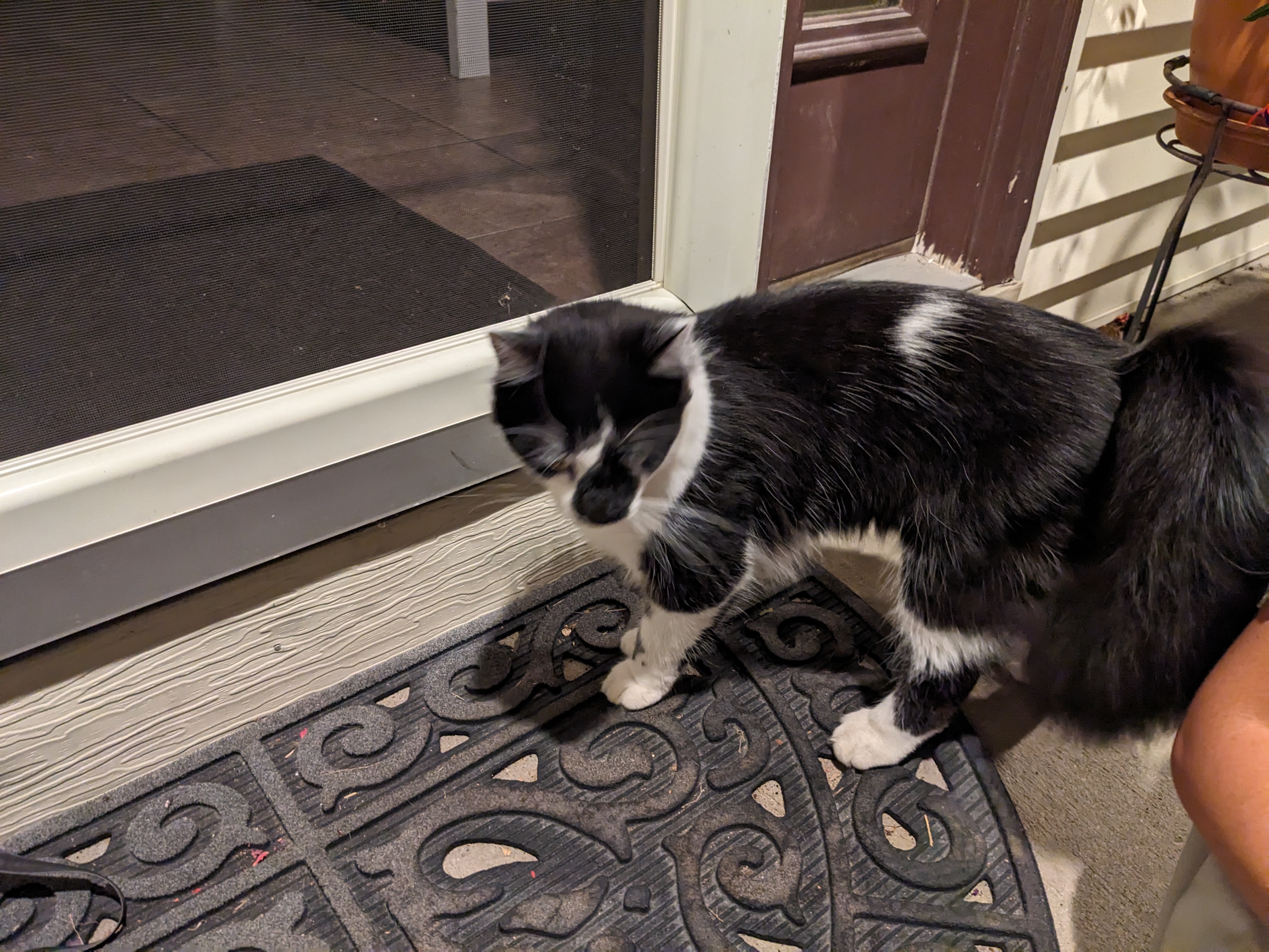 PXL 20230929 021322944.MP