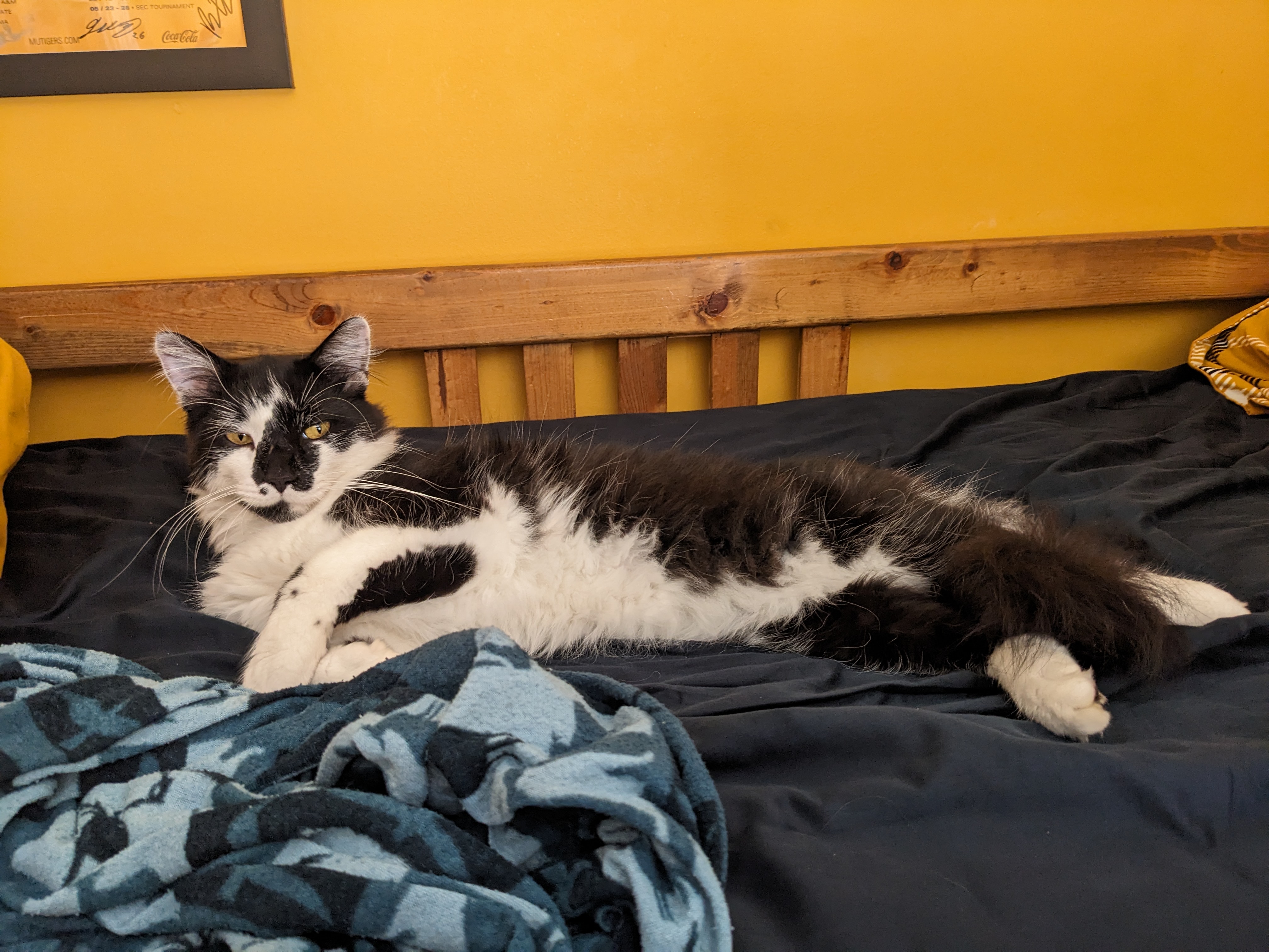 PXL 20230929 201937300