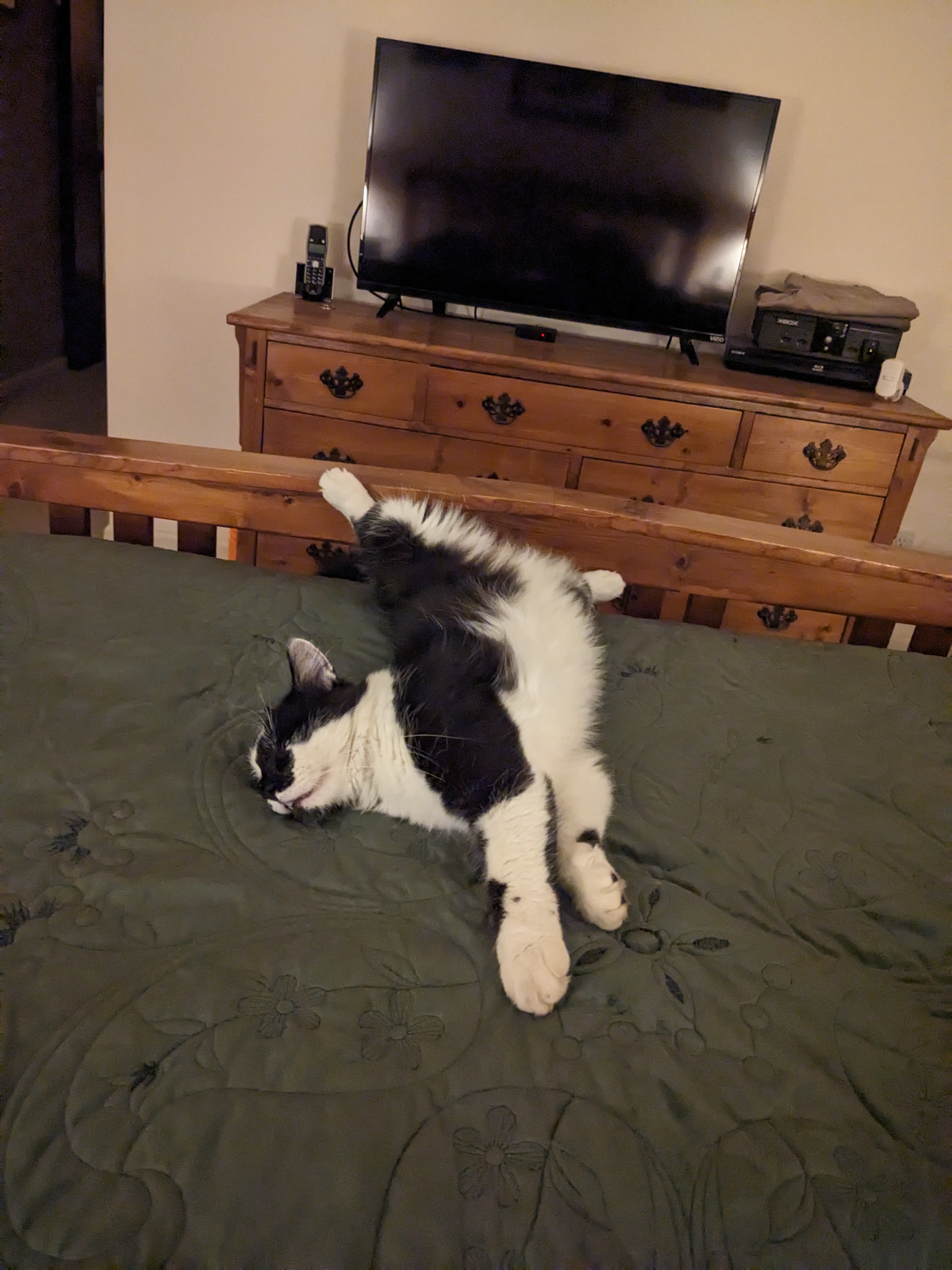 PXL 20230930 021755662