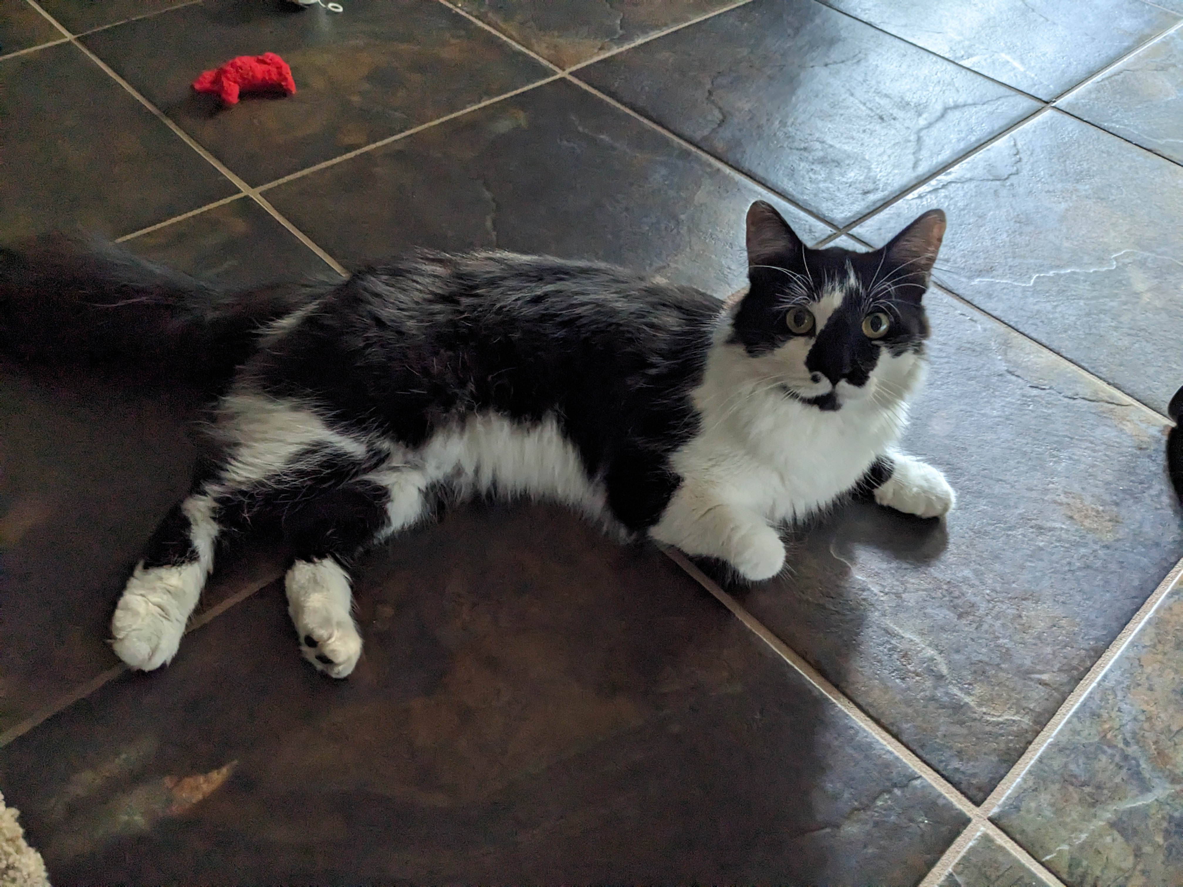 PXL 20231001 221500548