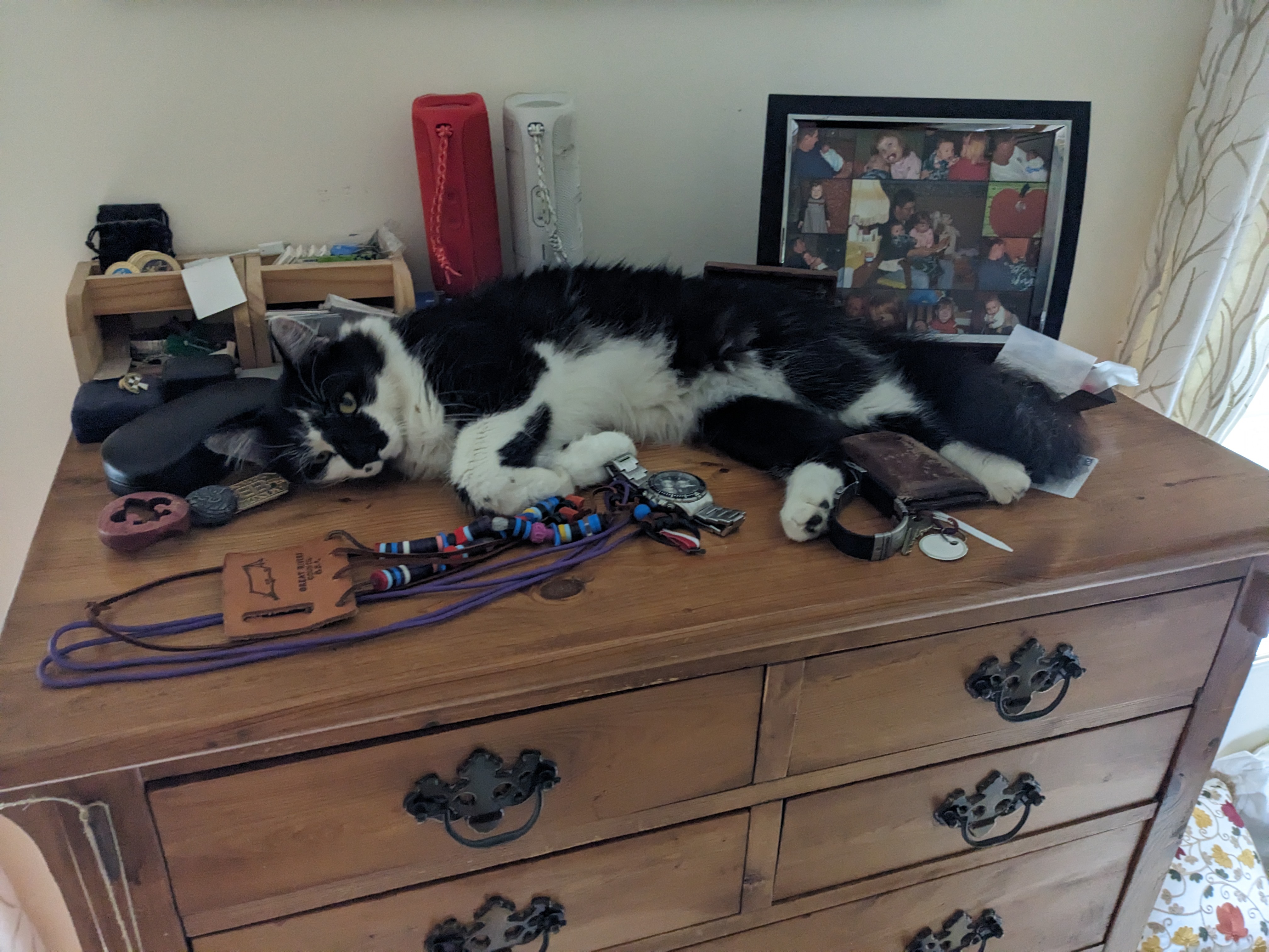 PXL 20231003 151311371