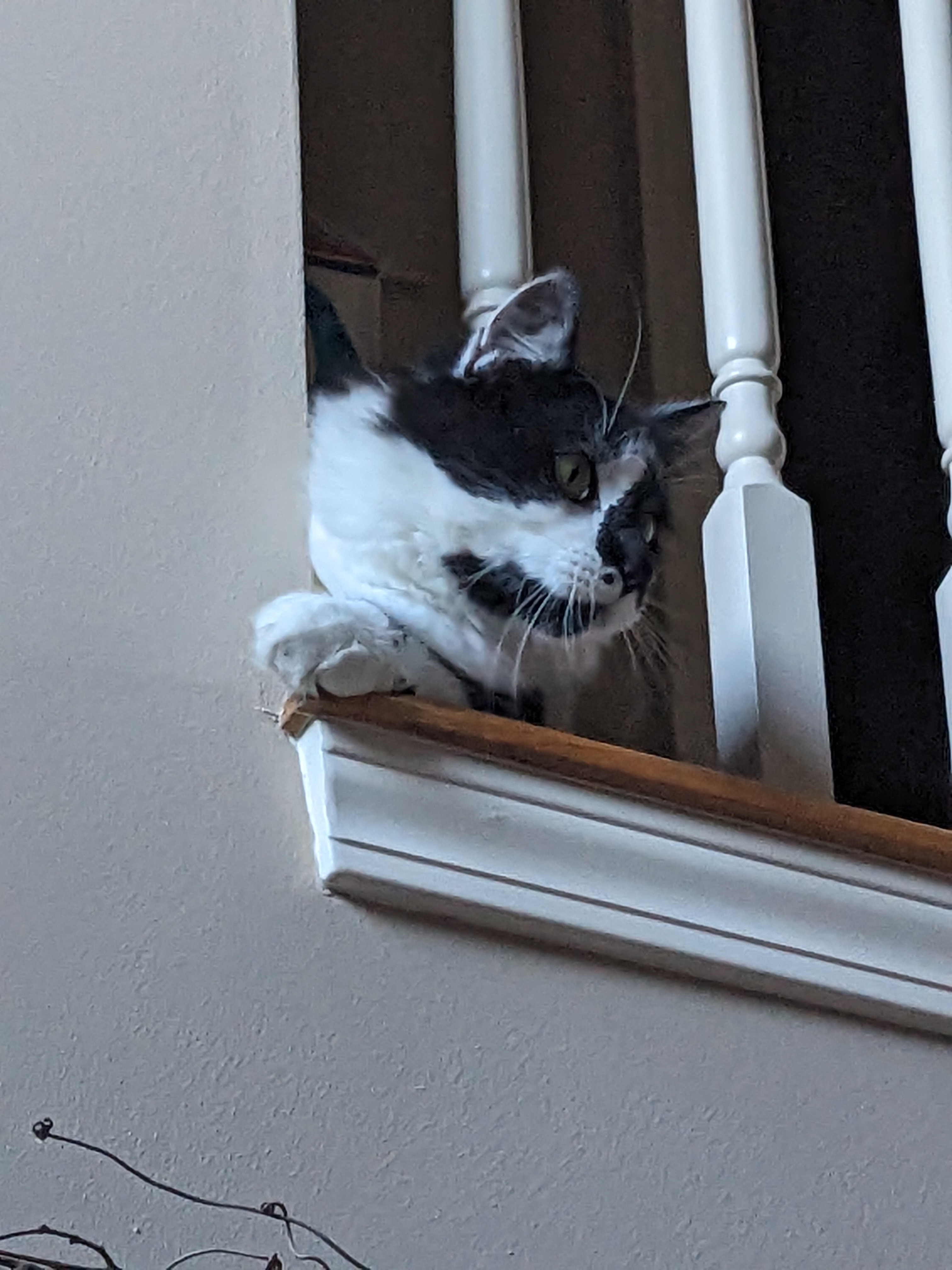 PXL 20231012 222101899