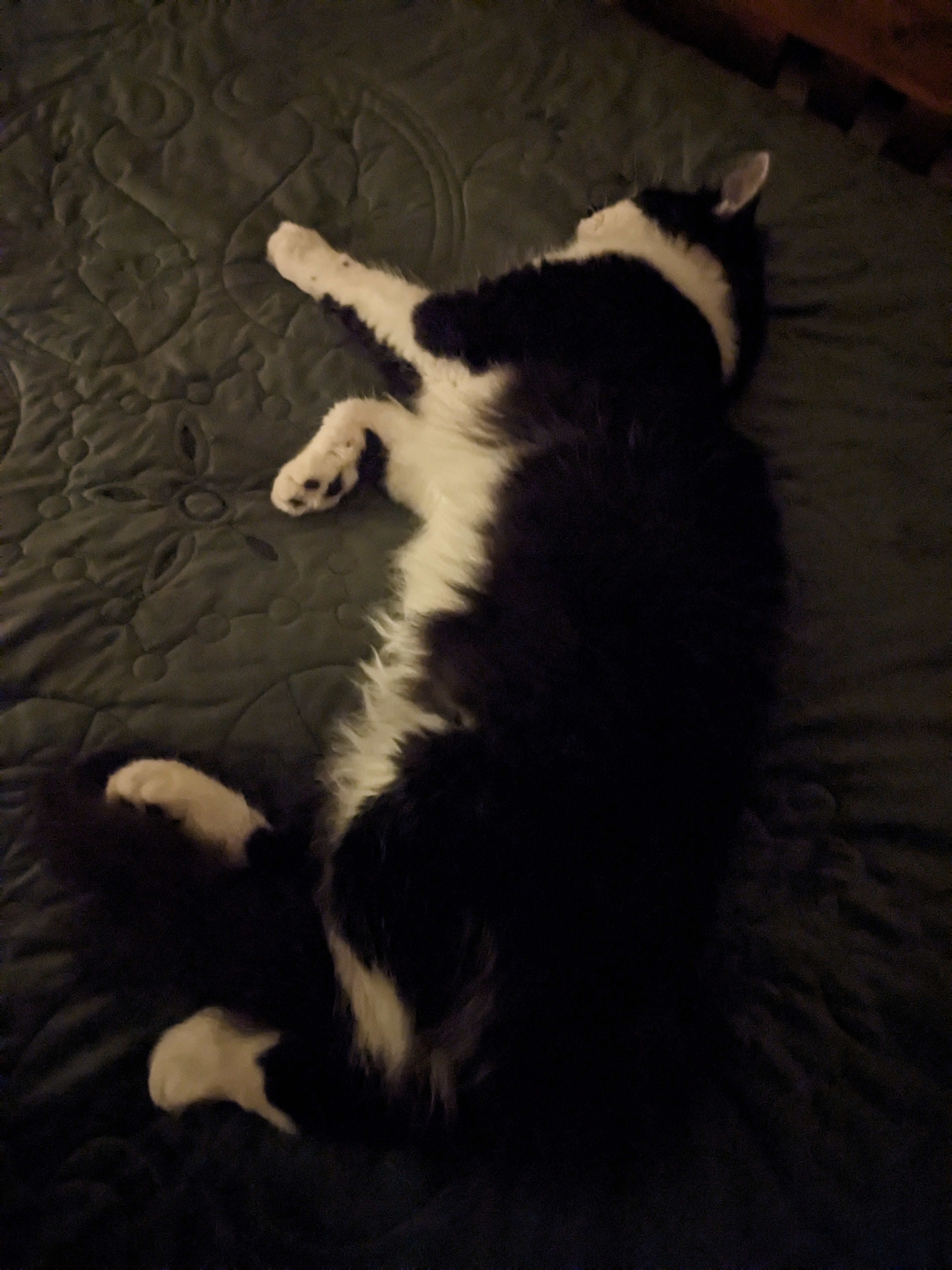 PXL 20231015 024052020