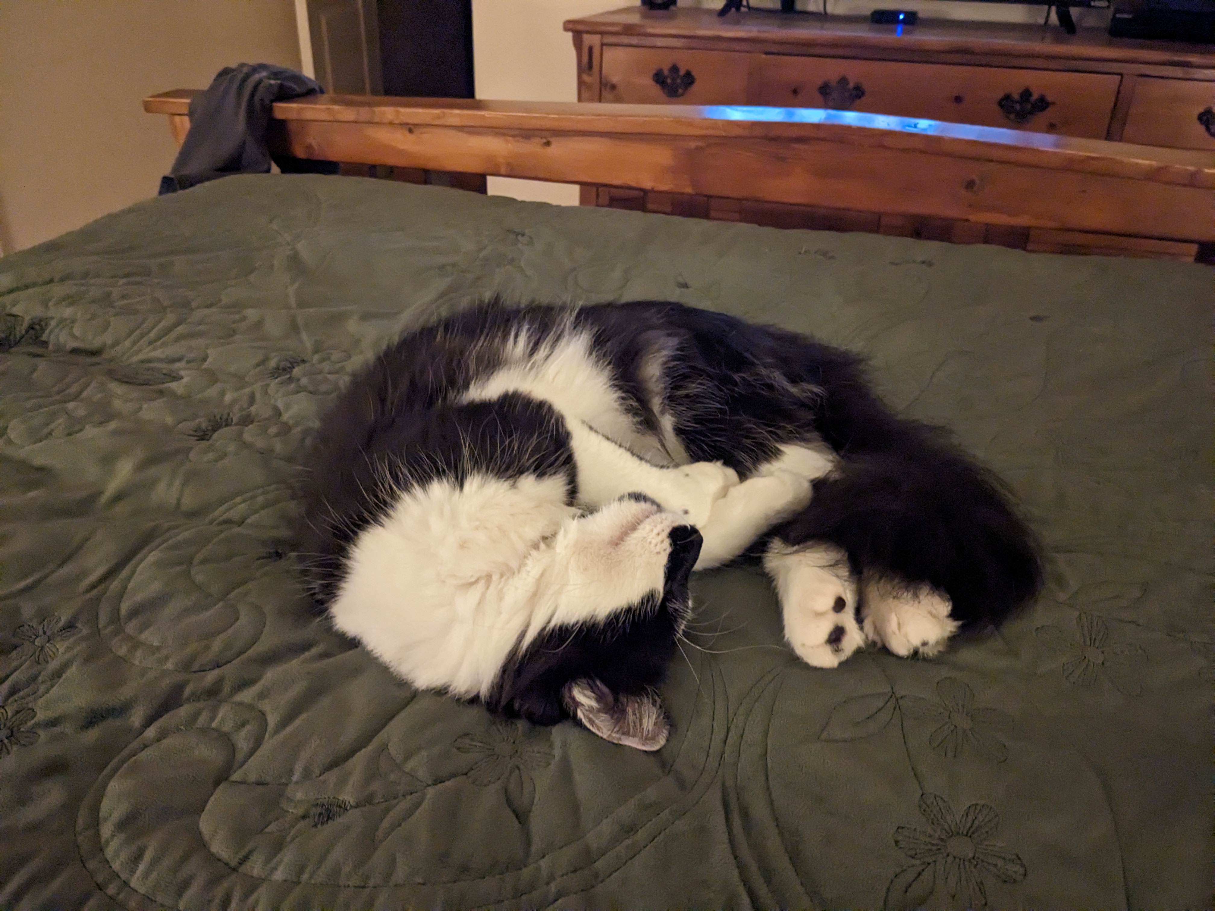 PXL 20231016 020945159