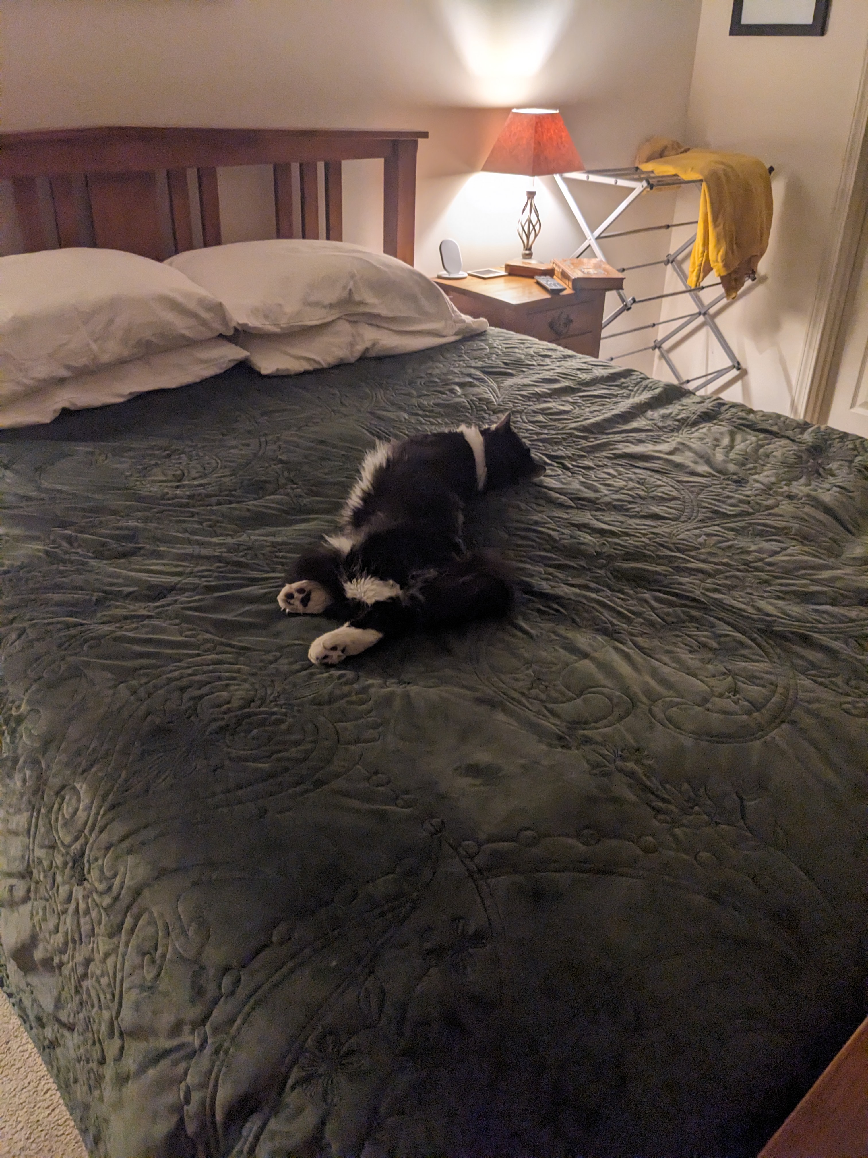 PXL 20231017 015918810