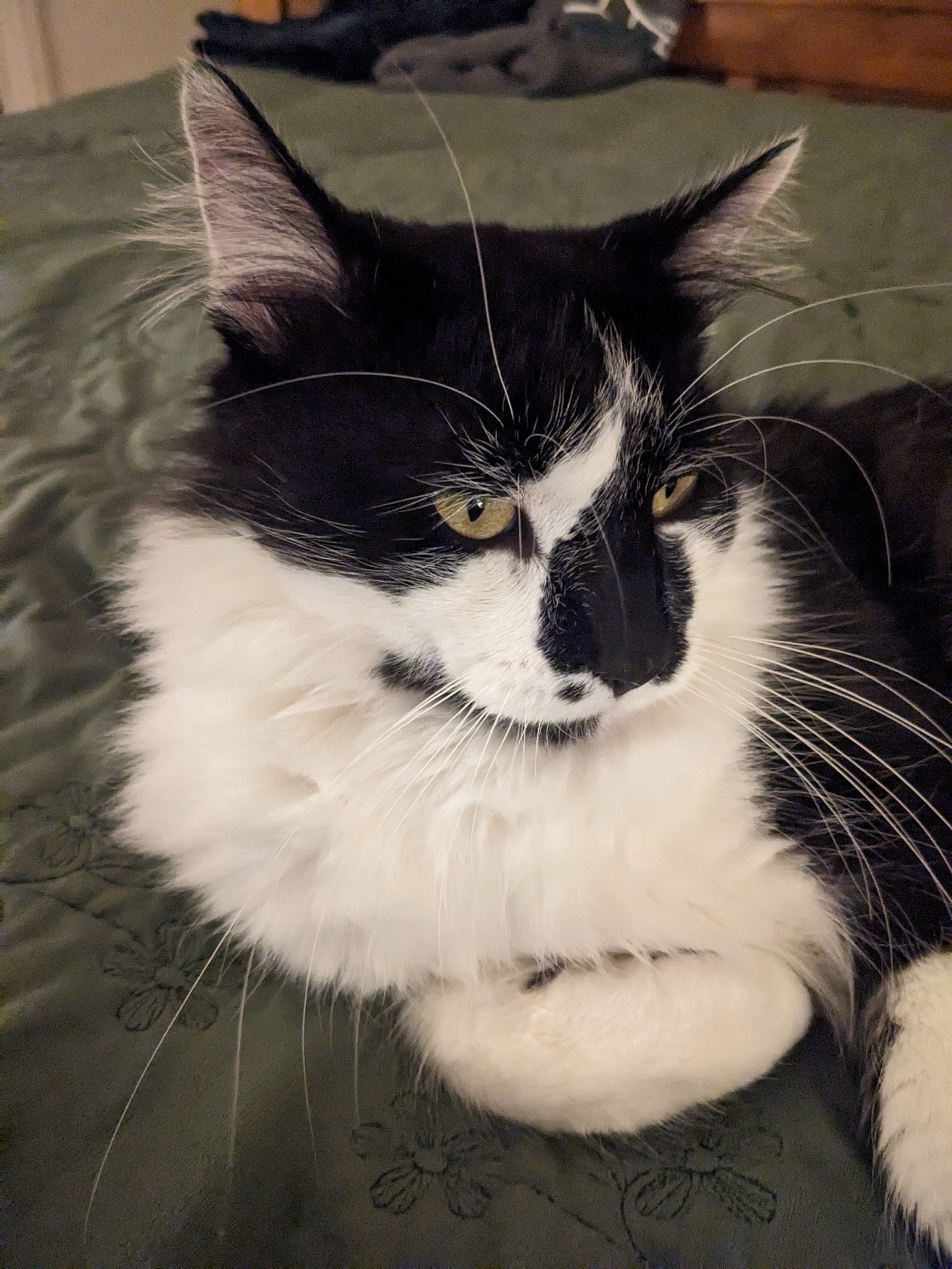 PXL 20231017 020211029