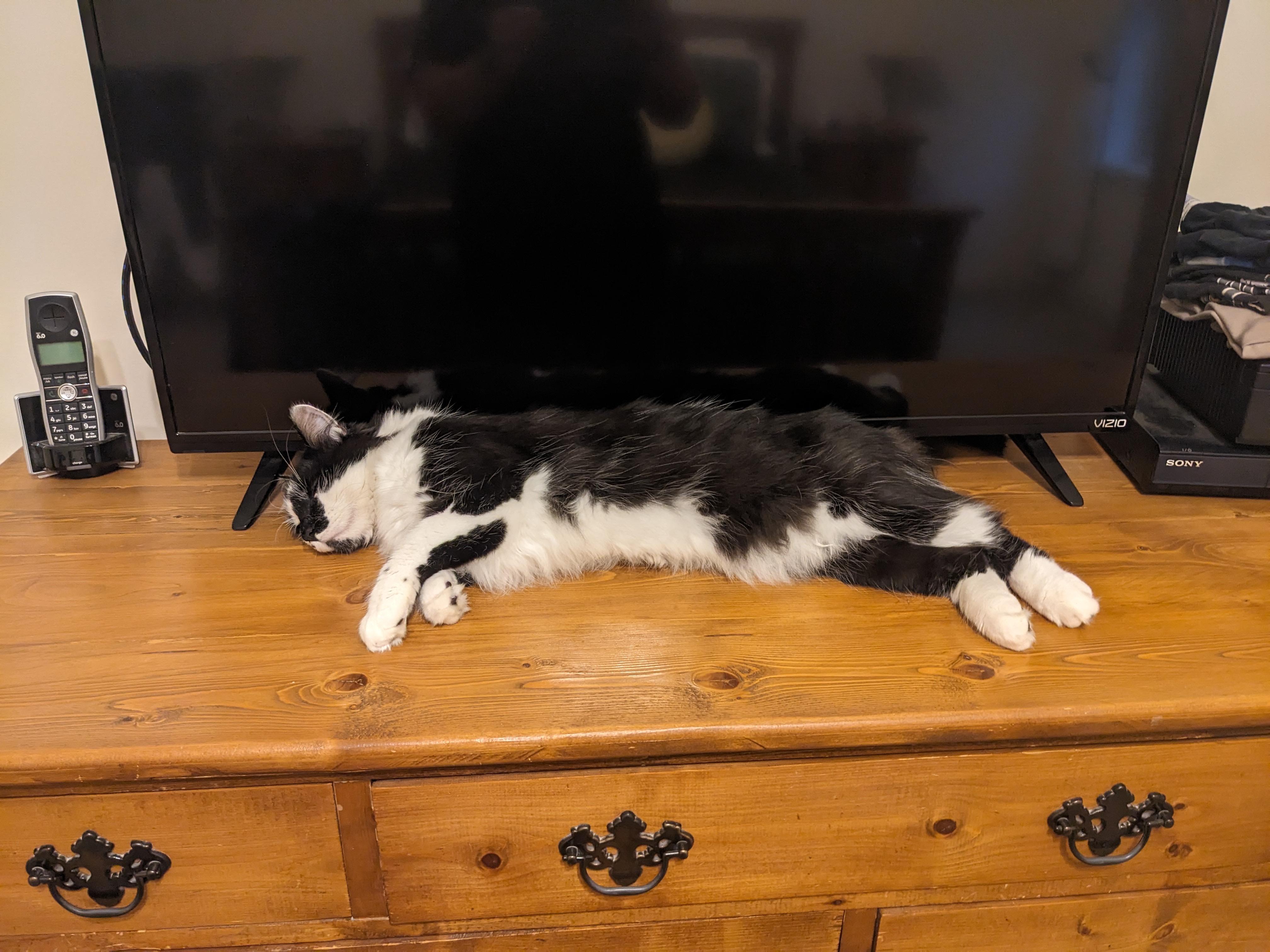 PXL 20231024 224123263